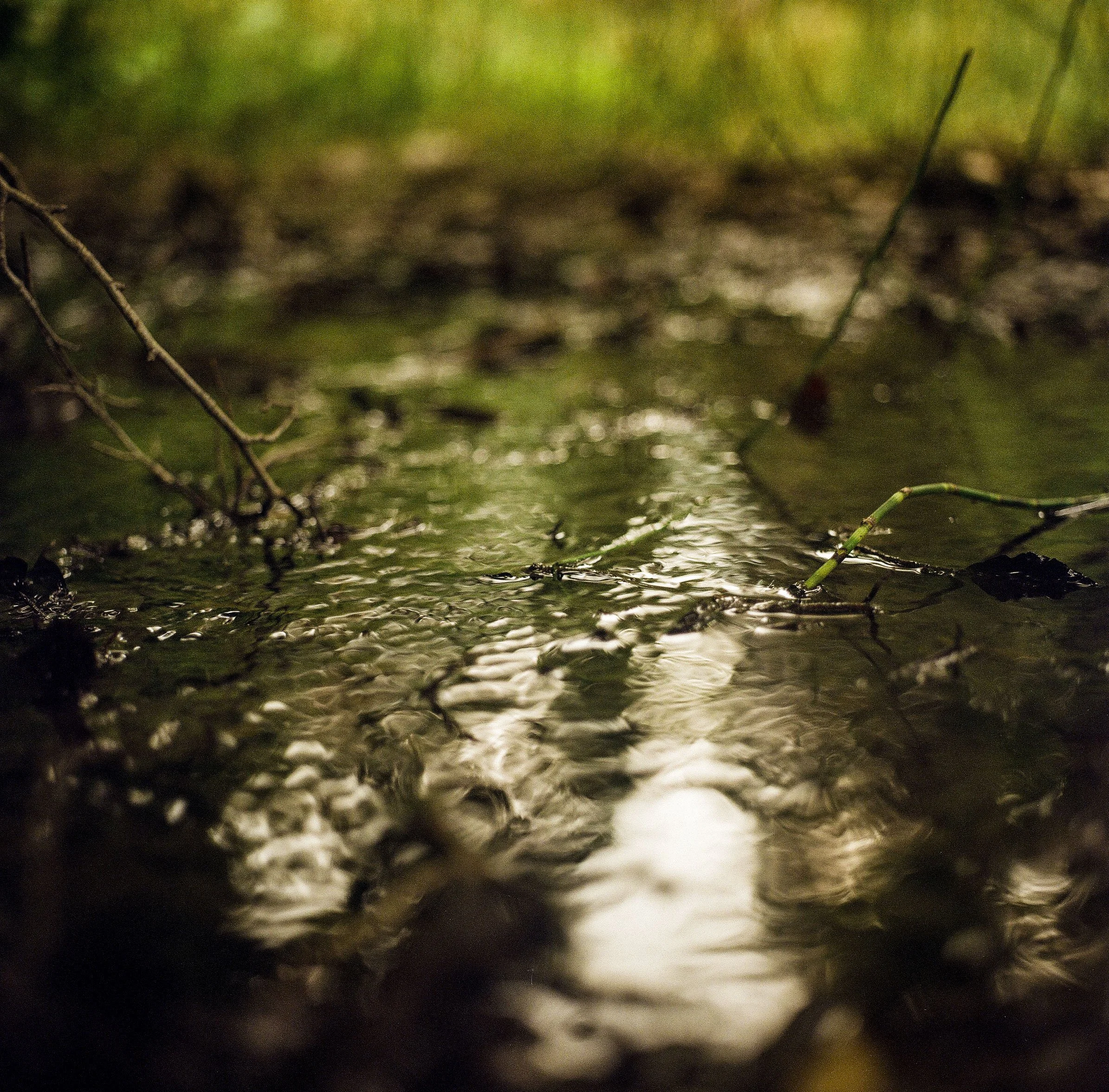 Lac_Vert2_3 copy.jpg