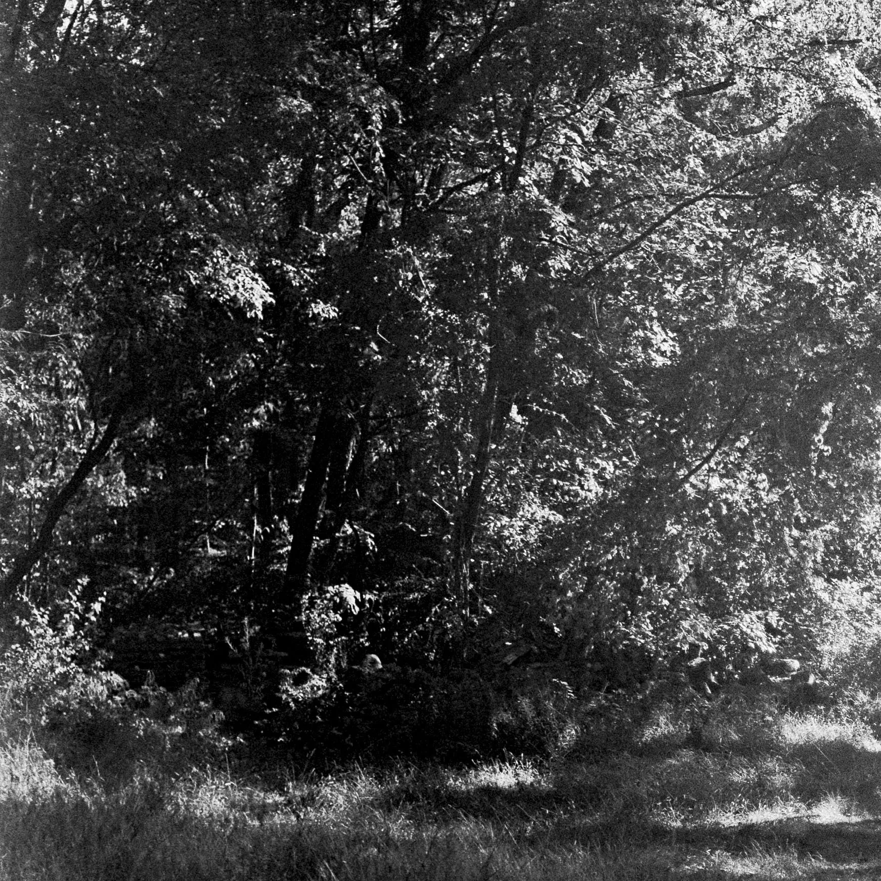 jpegsuploadforwebiste .JPG