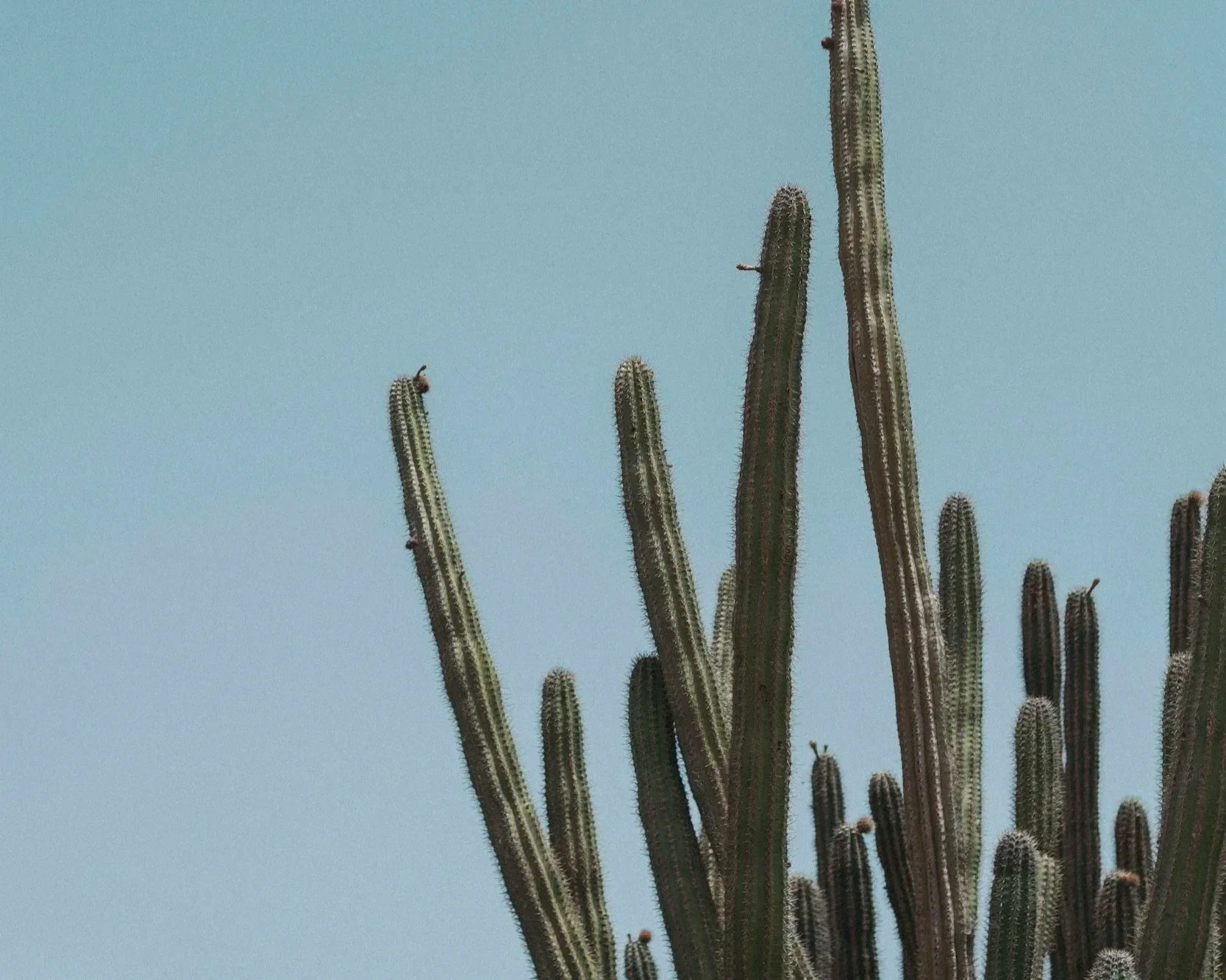 OCD &amp; Anxiety Resources: