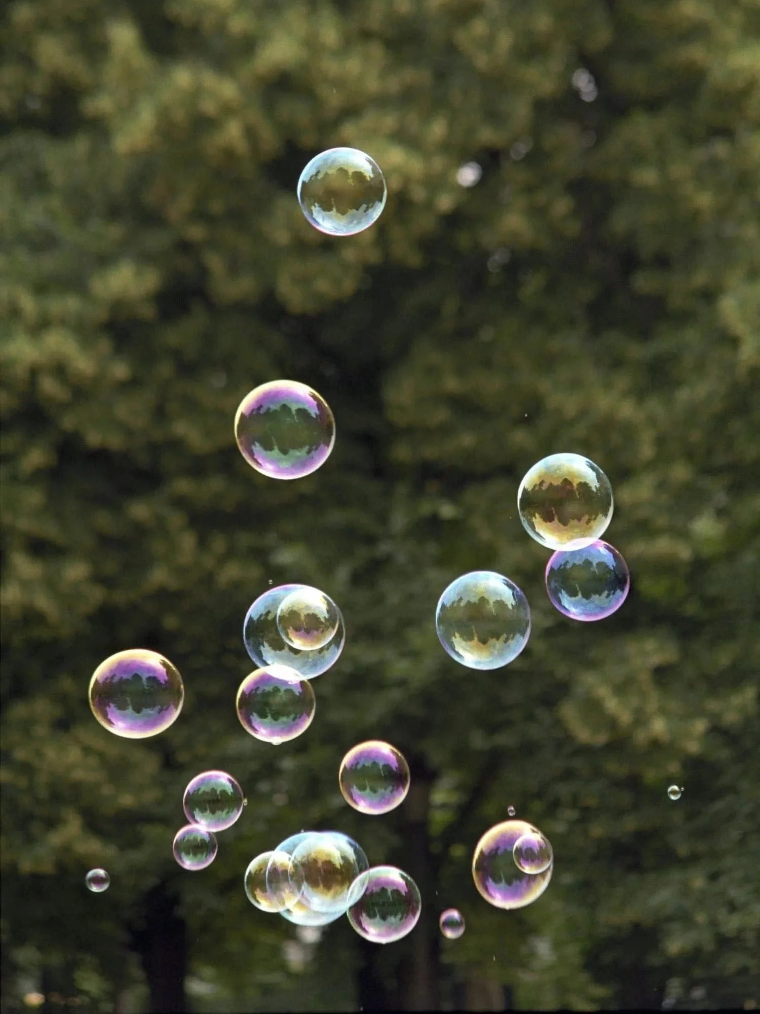 bubbles in front of trees