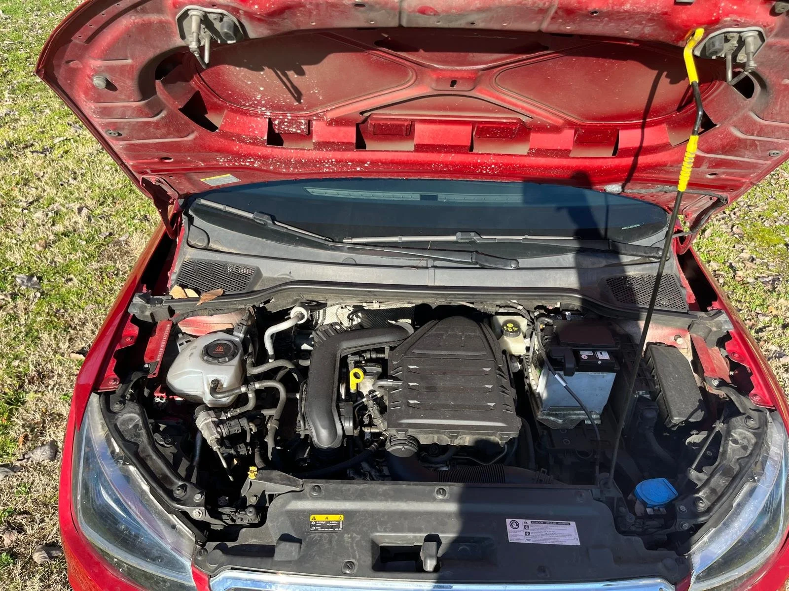 WhatsApp Image 2026-02-19 at 11.58.00c.jpeg