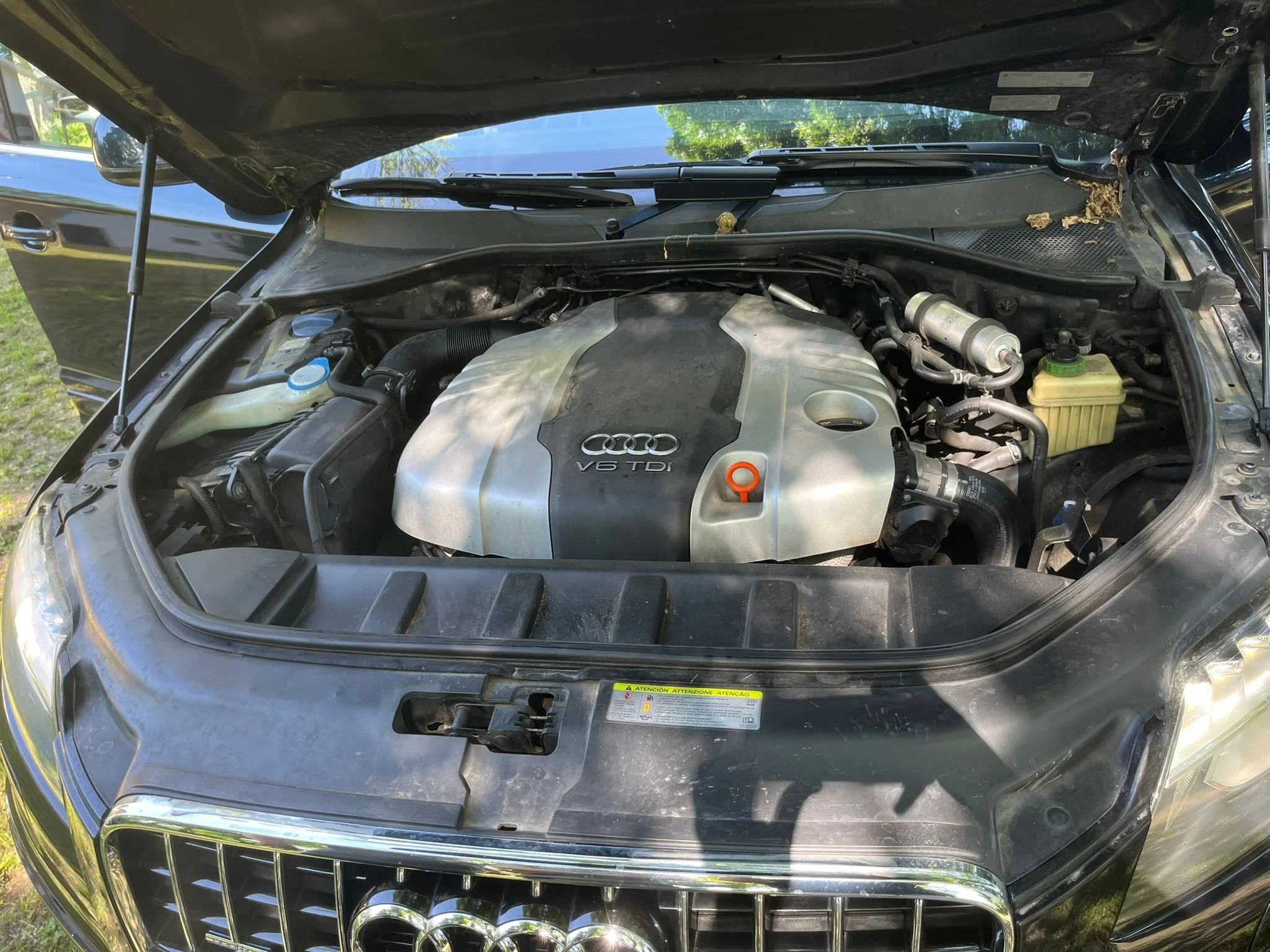 WhatsApp Image 2026-04-20 at 13.43.387.jpeg