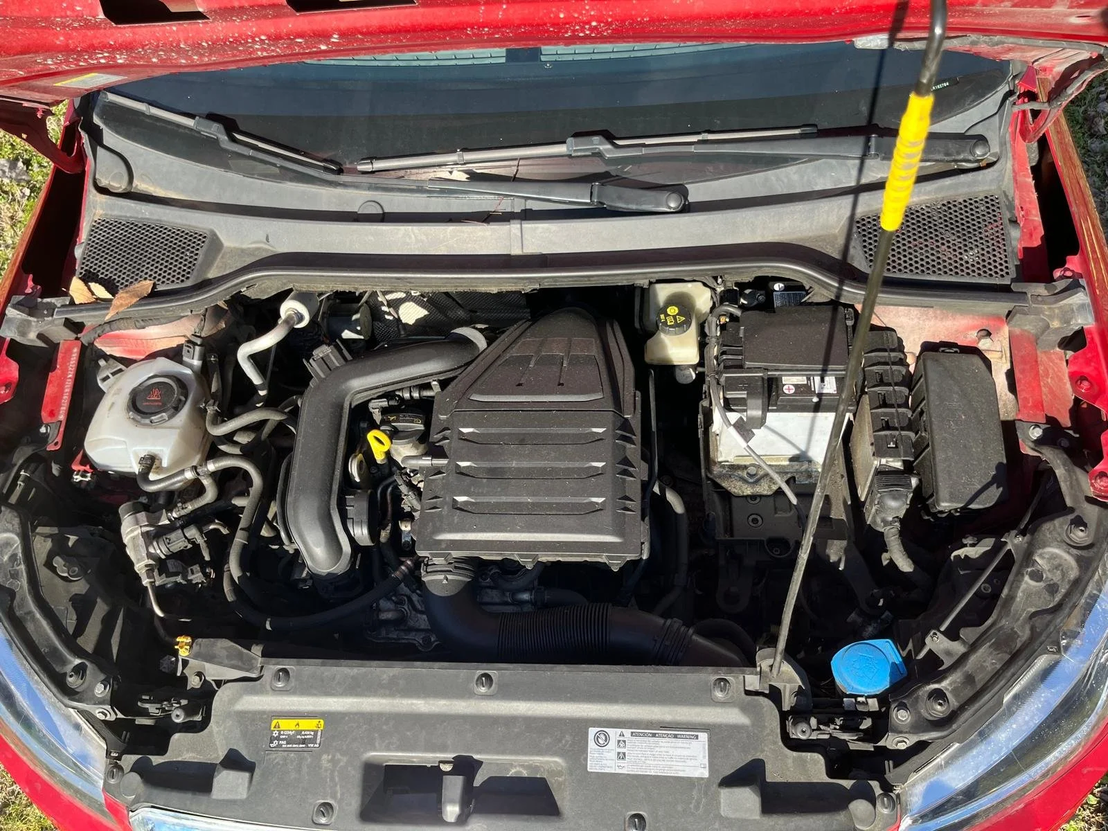 WhatsApp Image 2026-02-19 at 11.58.00a.jpeg