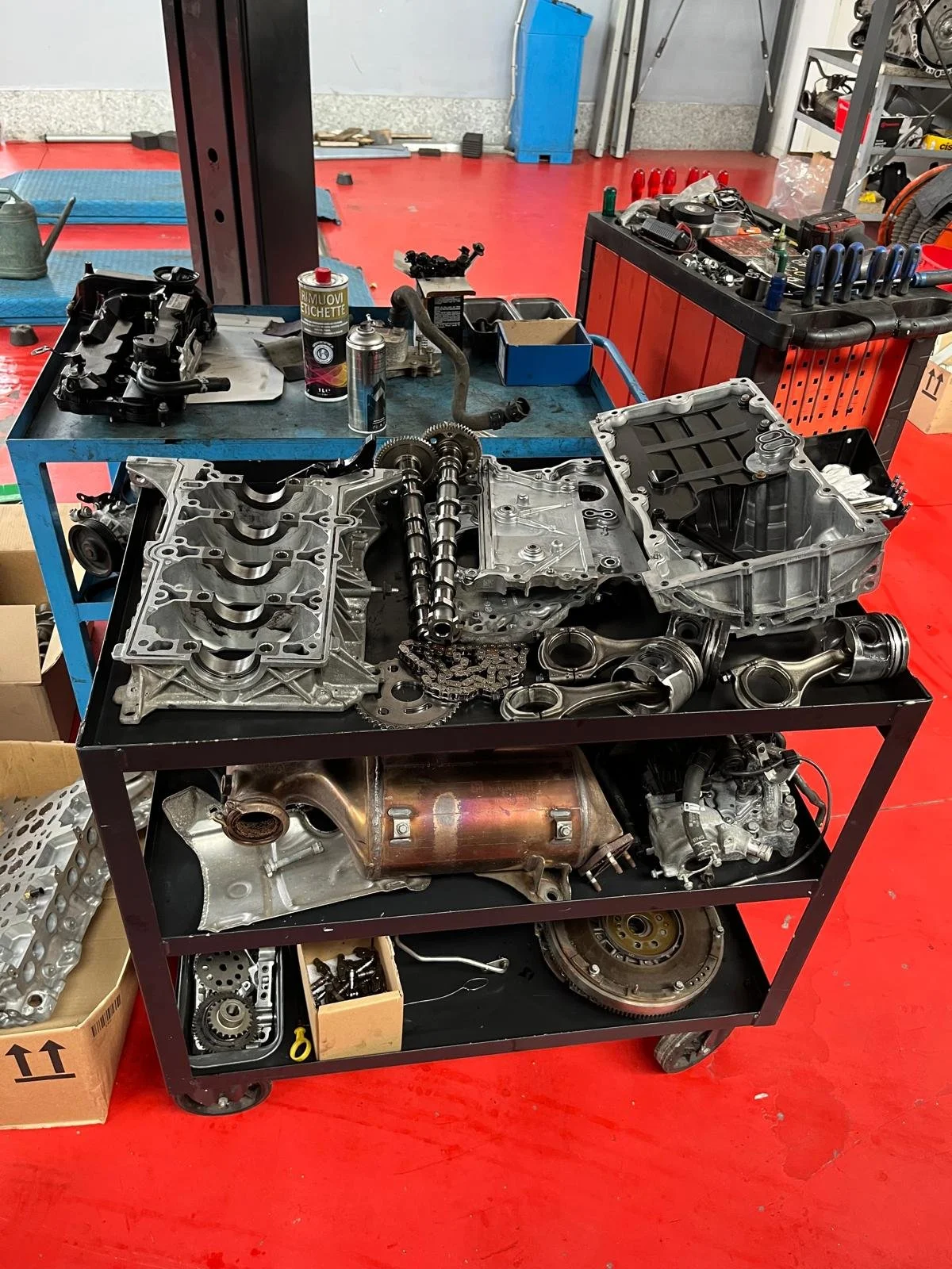 WhatsApp Image 2026-01-22 at 10.59.01.jpeg