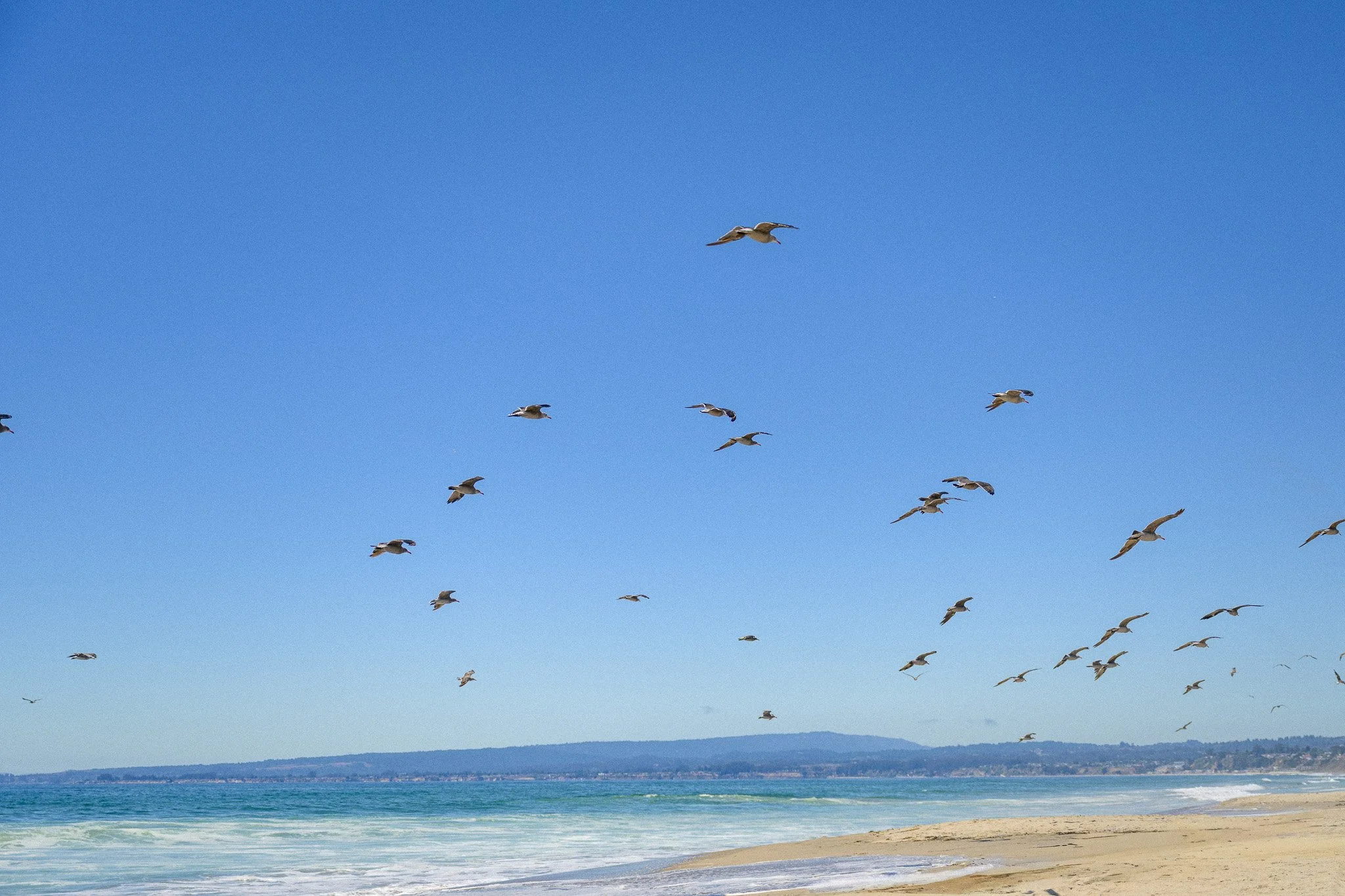 DSC_3663.jpg