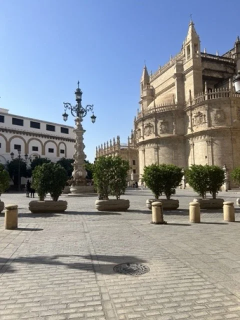 IMG_3023 Medium.jpeg