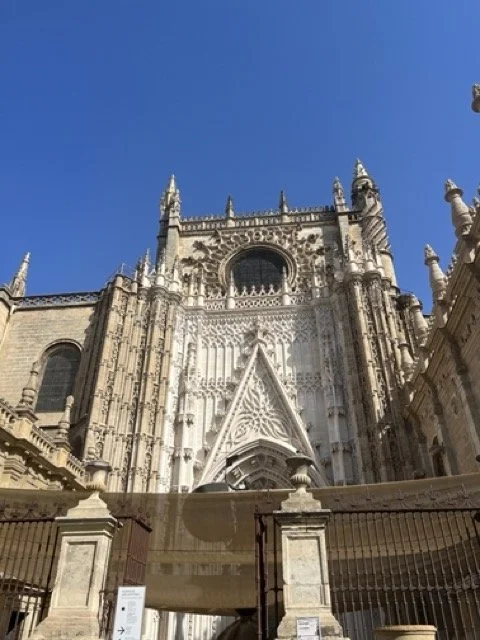 IMG_3024 Medium.jpeg