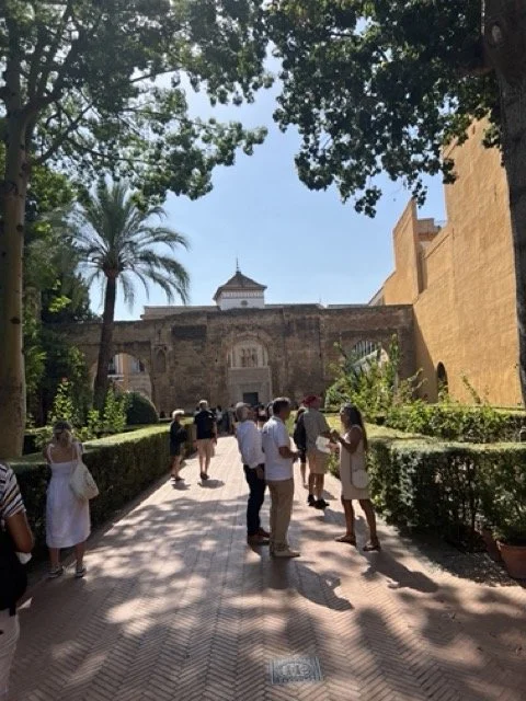 IMG_3027 Medium.jpeg