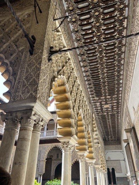 IMG_3106 Medium.jpeg