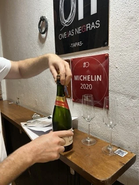 IMG_2950 Medium.jpeg