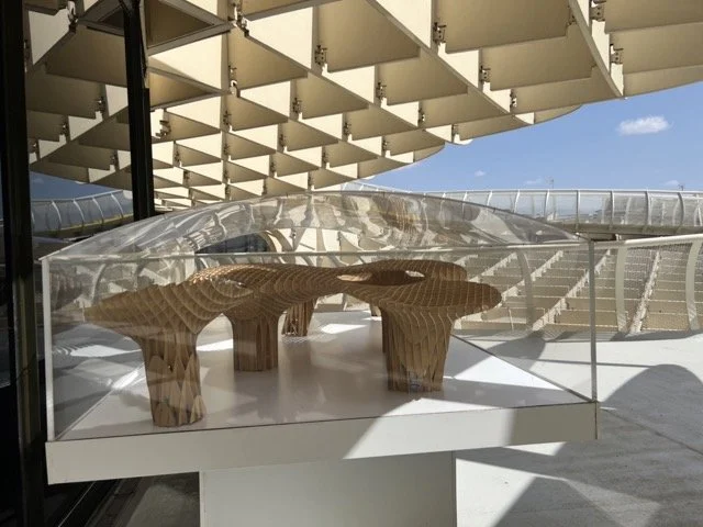 IMG_3408 Medium.jpeg