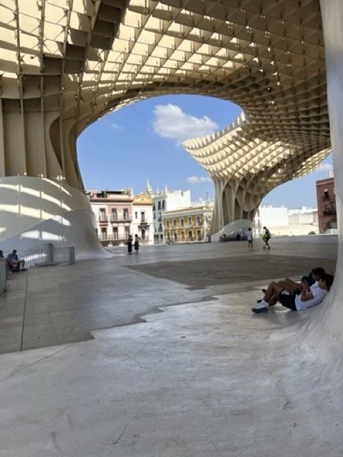 IMG_3449 Medium.jpeg