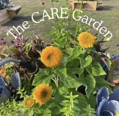 A collaborative community space for sharing and learning, open to all. 