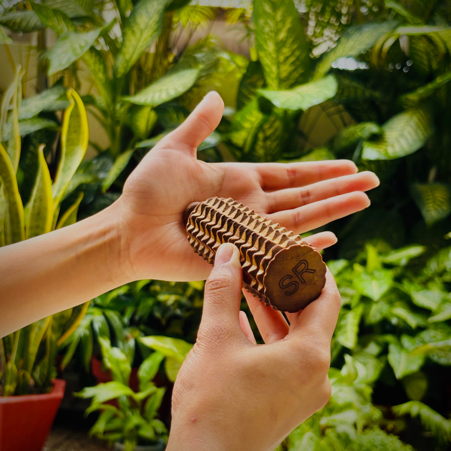 porcupine_massage_roller_palms.png