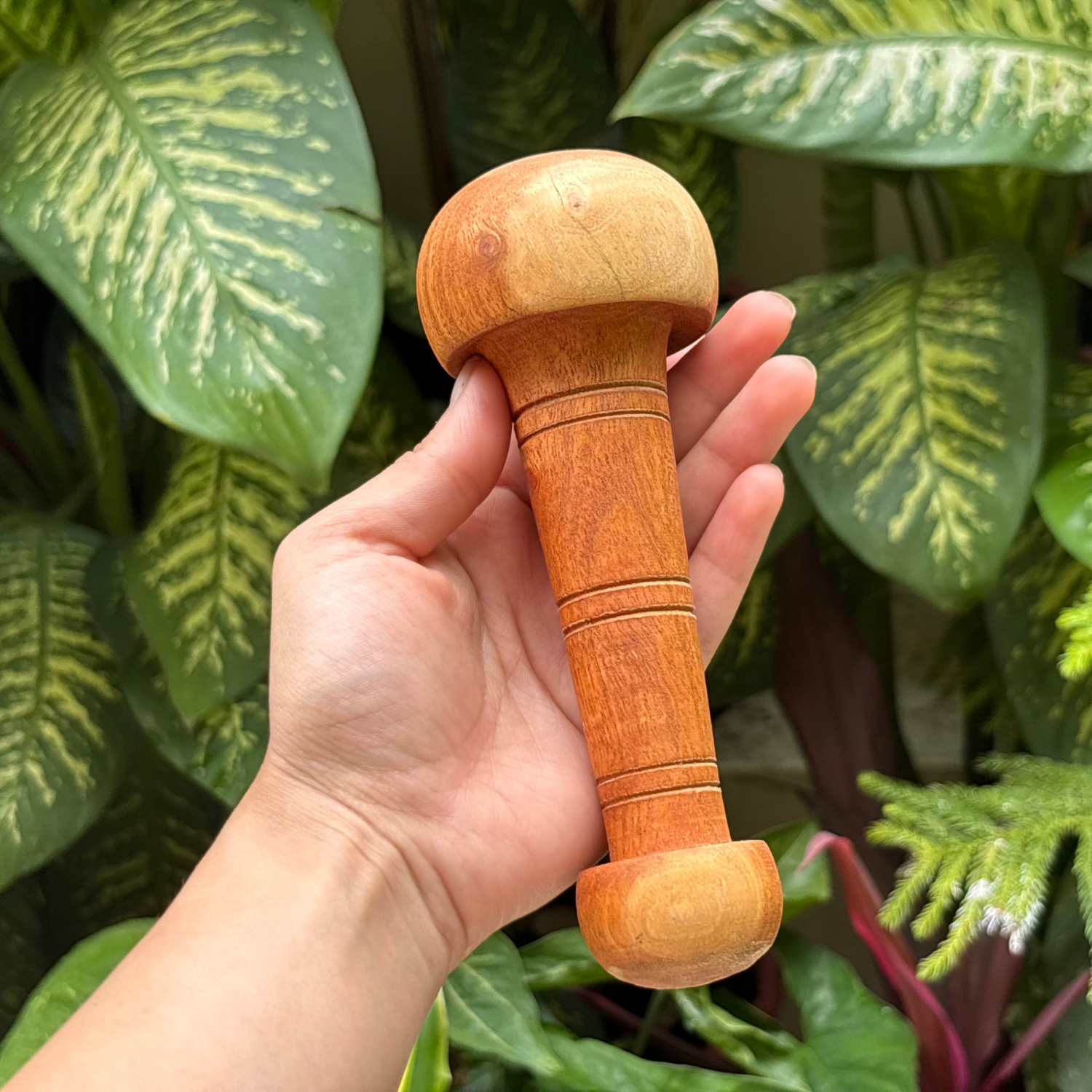 wooden-arbor-massage-wand-handheld-product-view.png.png