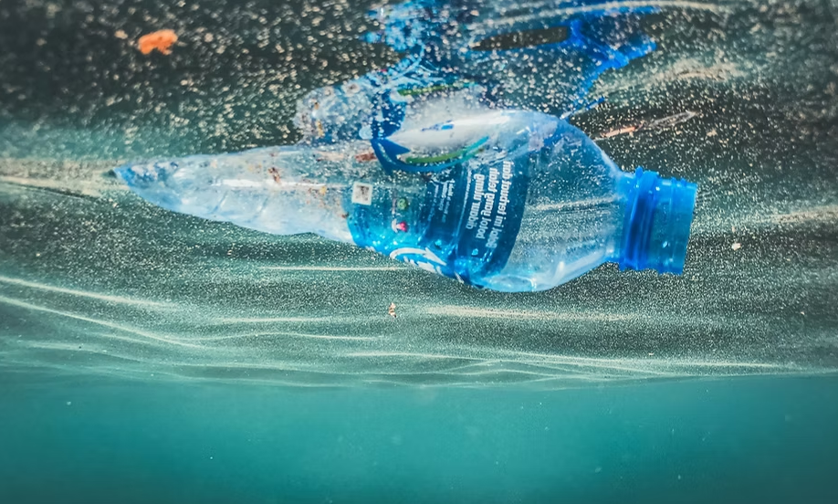 Plastic Oceans International &amp; The Politics of Turning Film Into Action