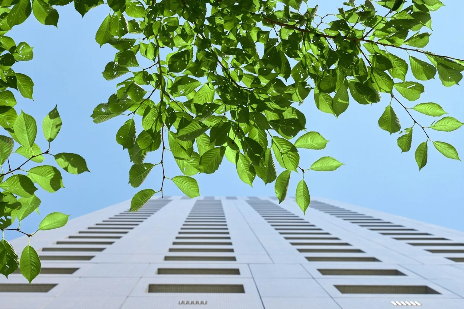 Green Goals: Real Examples of Businesses Slashing Emissions and PromotingSustainability