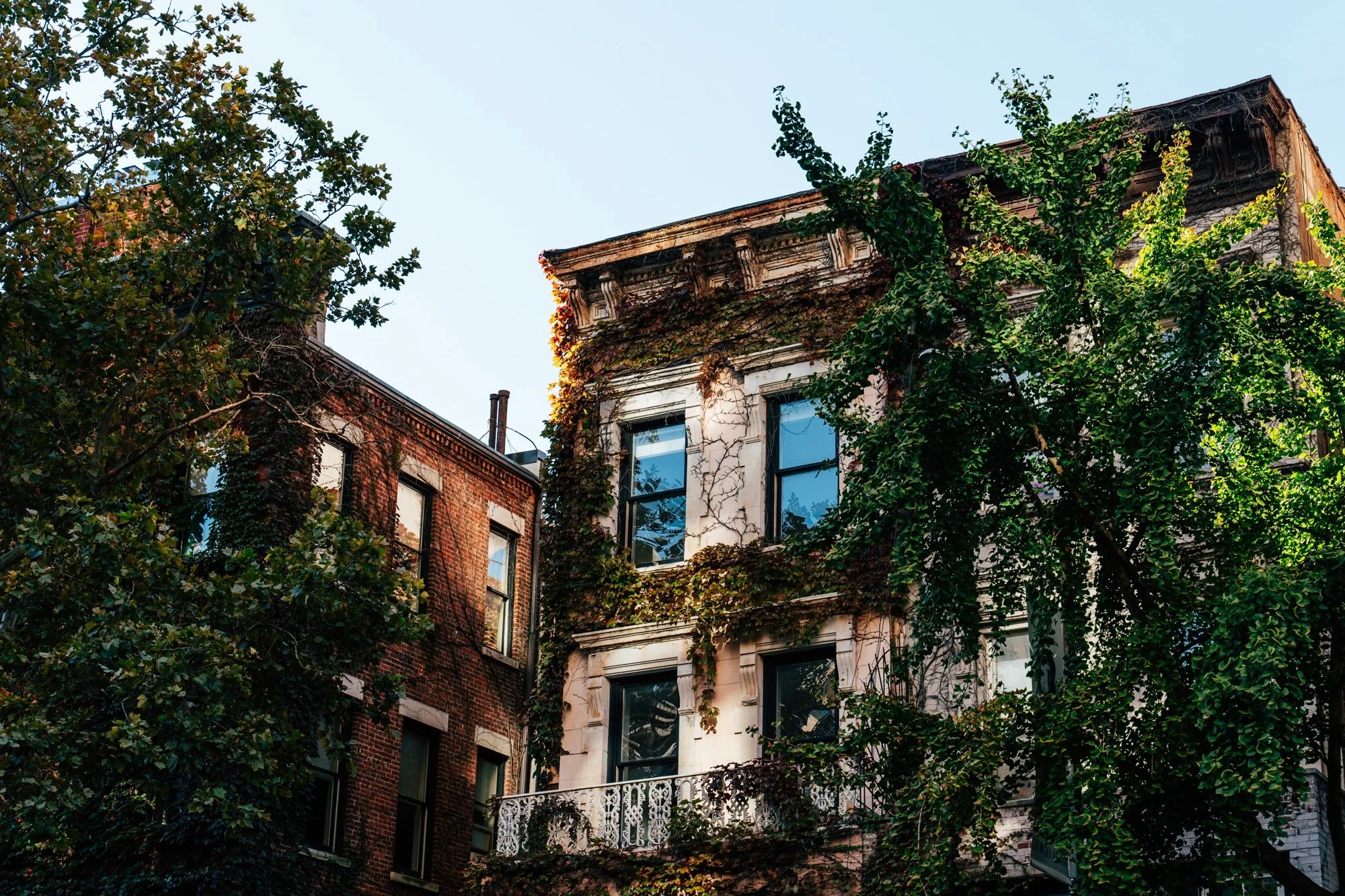 Turning My Passion for Photography into a Business