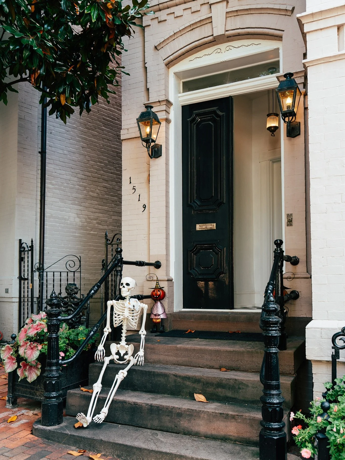 β  Just out here keeping good company with the local skeleton crew π β
My kind of neighbors — friendly skeletons and beautiful doors. Georgetown, D.C. knows how to do spooky right! ππ»
This week’s tiny victory: I reached my first 1000&