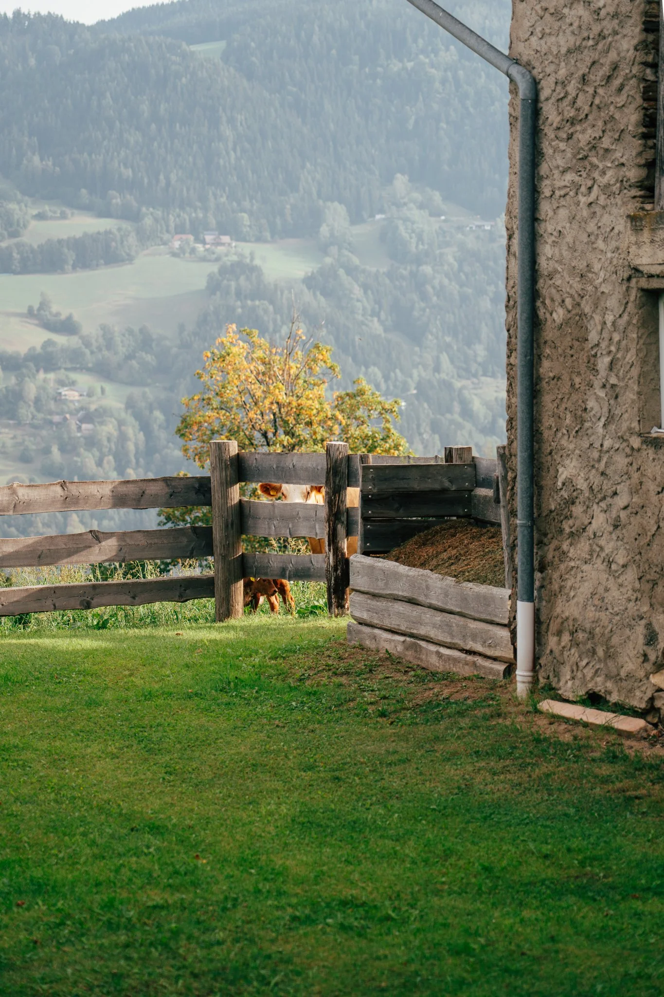 ferienwohnung_russmann_wolfsberg-08157.jpg