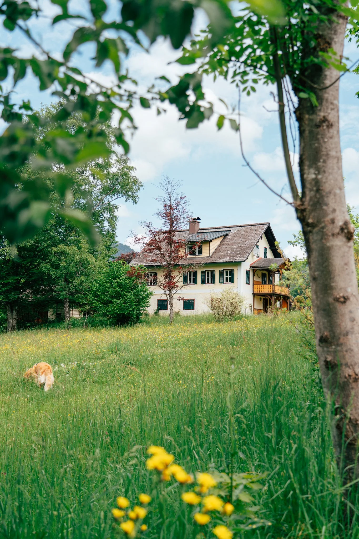 jaqueline_bremmer_austria_ig-03652.jpg