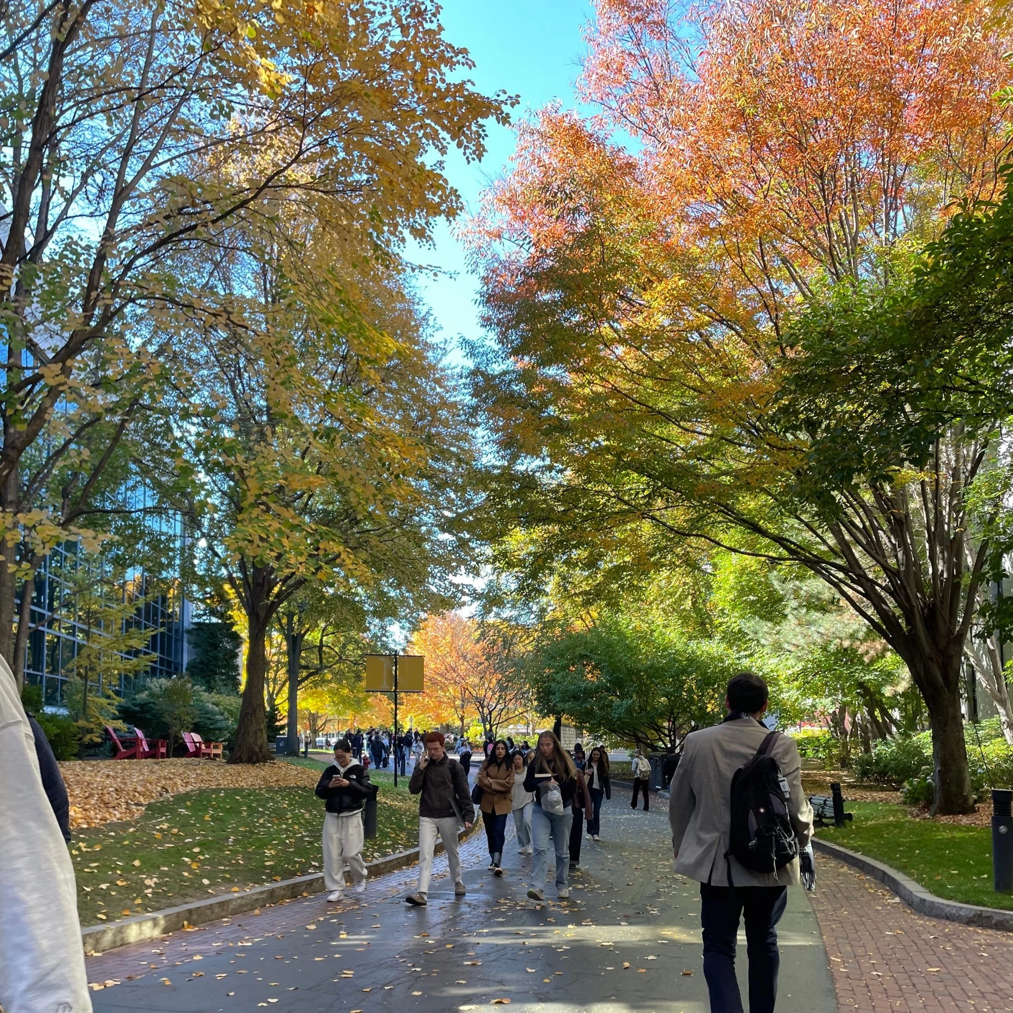 People walking on a fall day in a park with colorful autumn trees and fallen leaves on the ground.