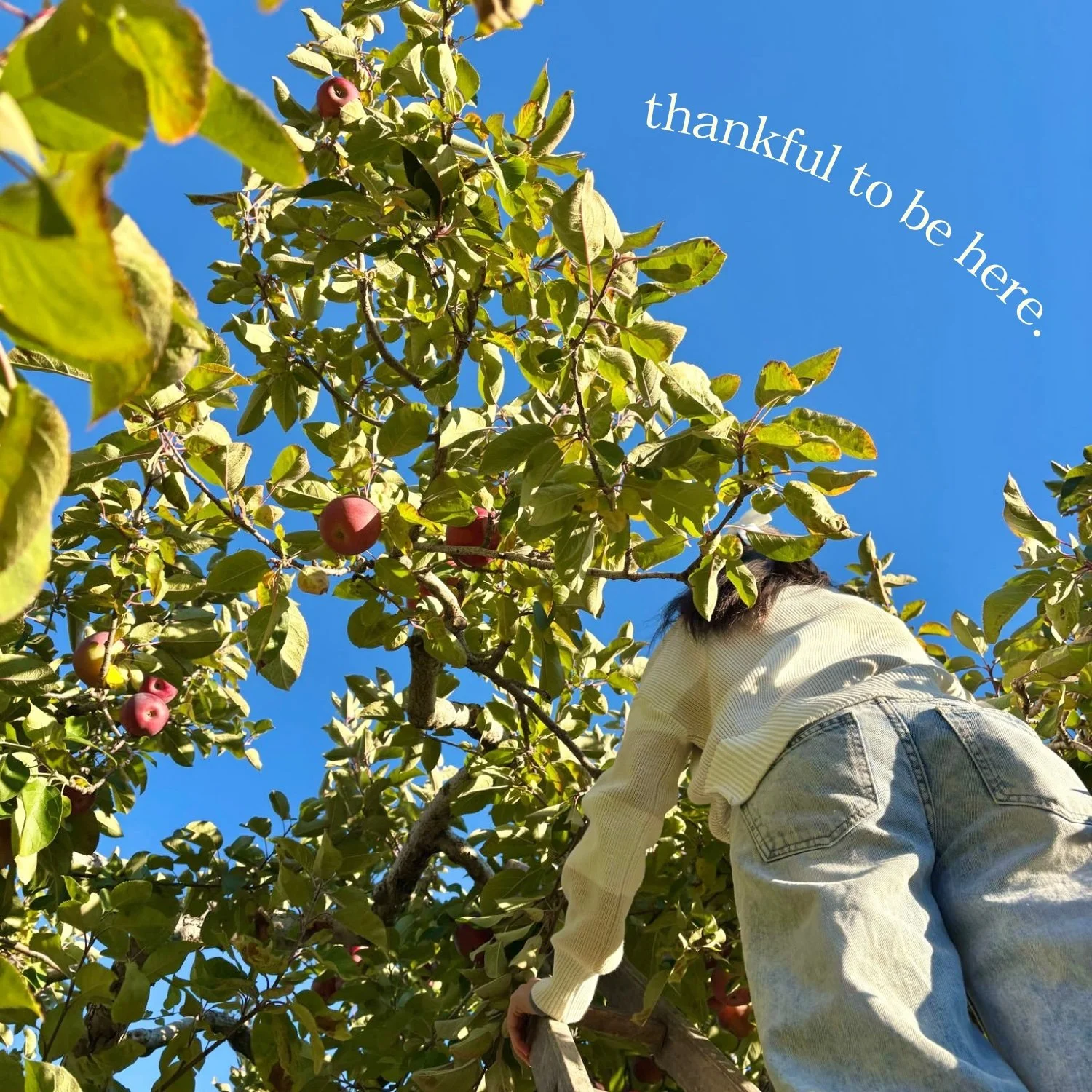 Thankful to be here.jpg