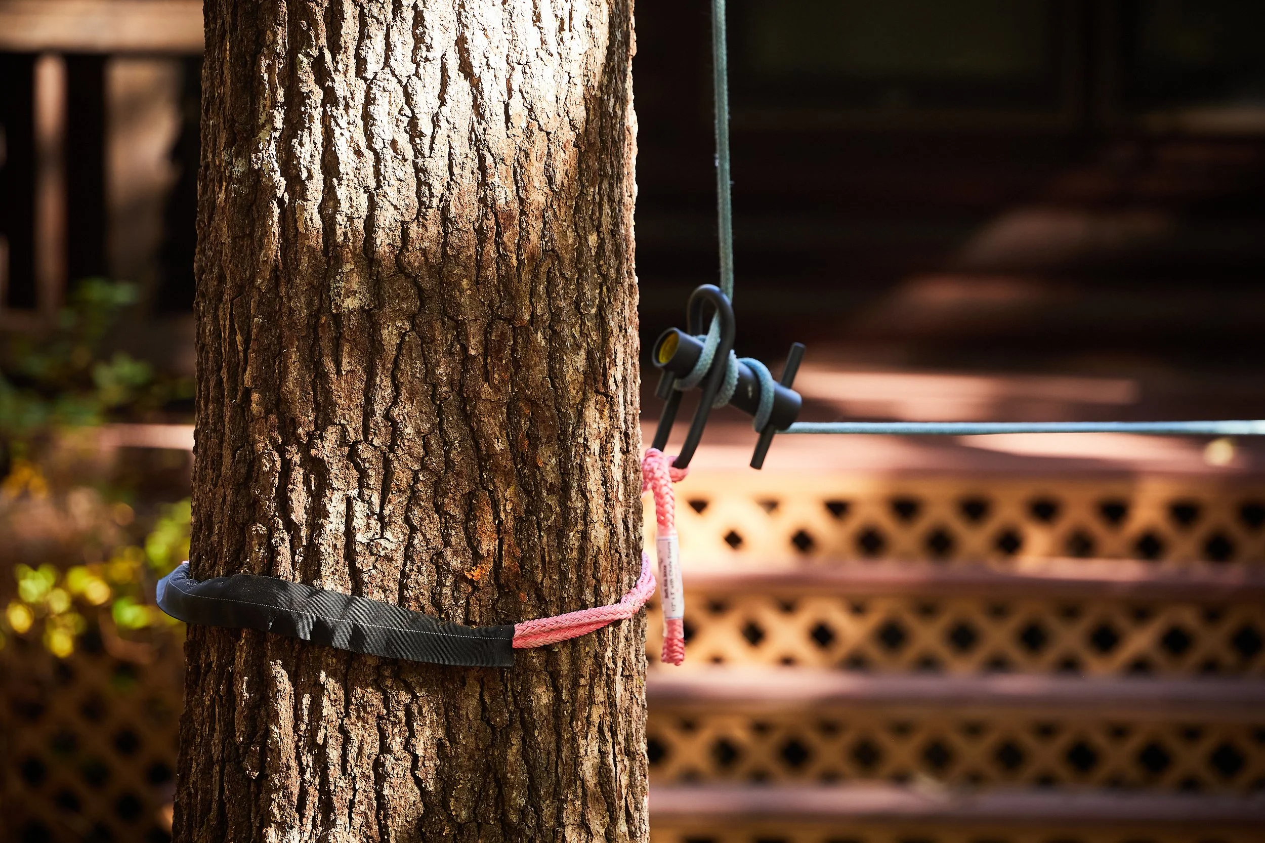 Excavator clearing trees in a field