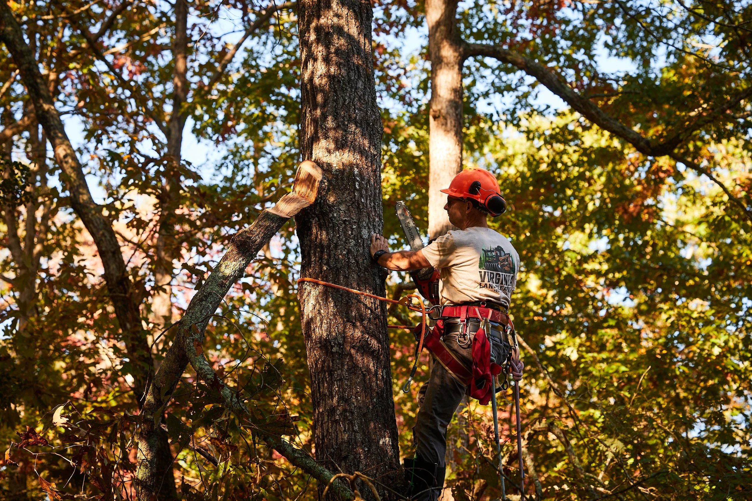 Rural road with storm damage, fallen trees, and debris. Several vehicles and people are in the area assessing the situation. Damaged houses and green countryside visible in the background.