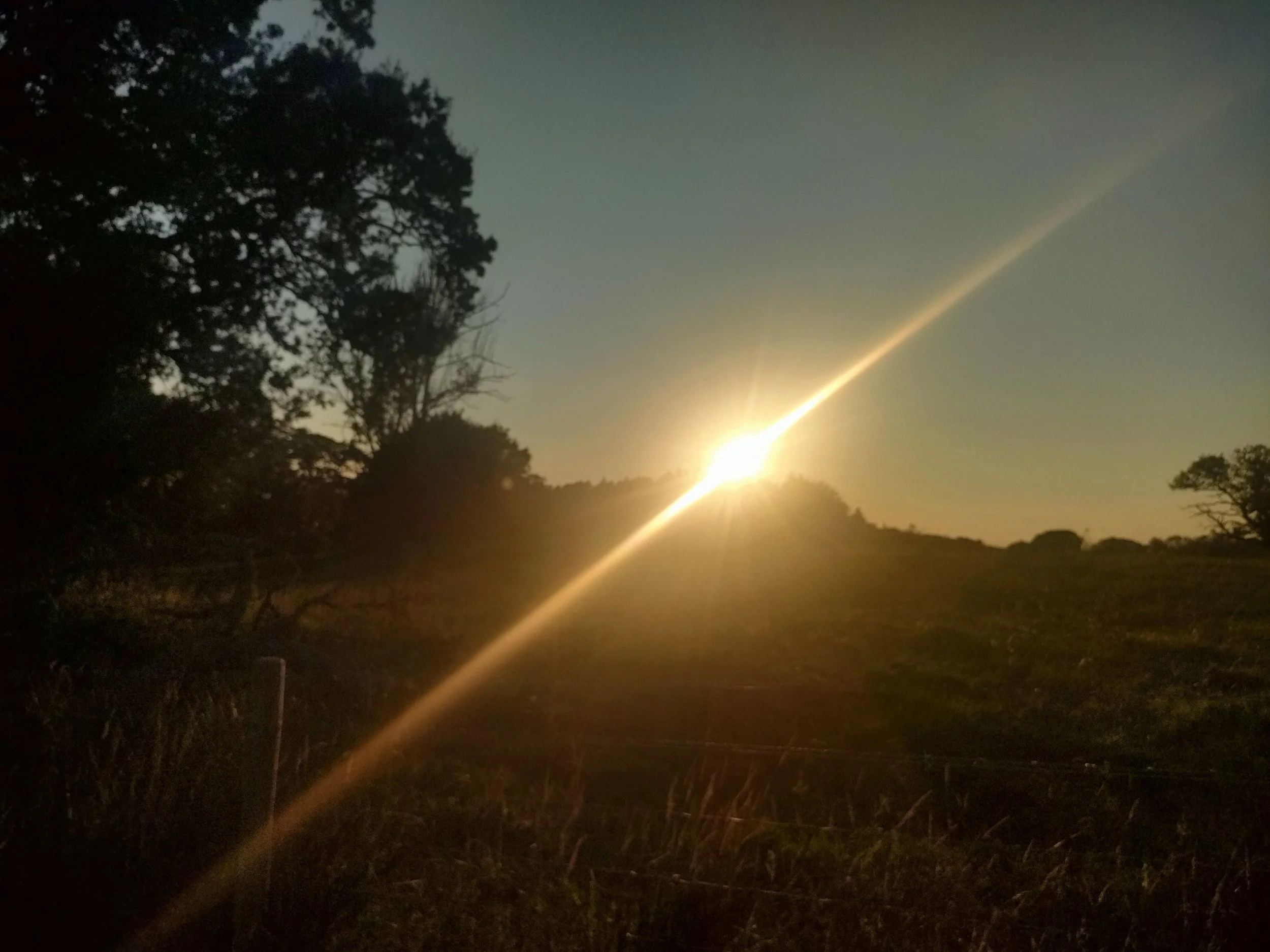 Reflections on the Sun