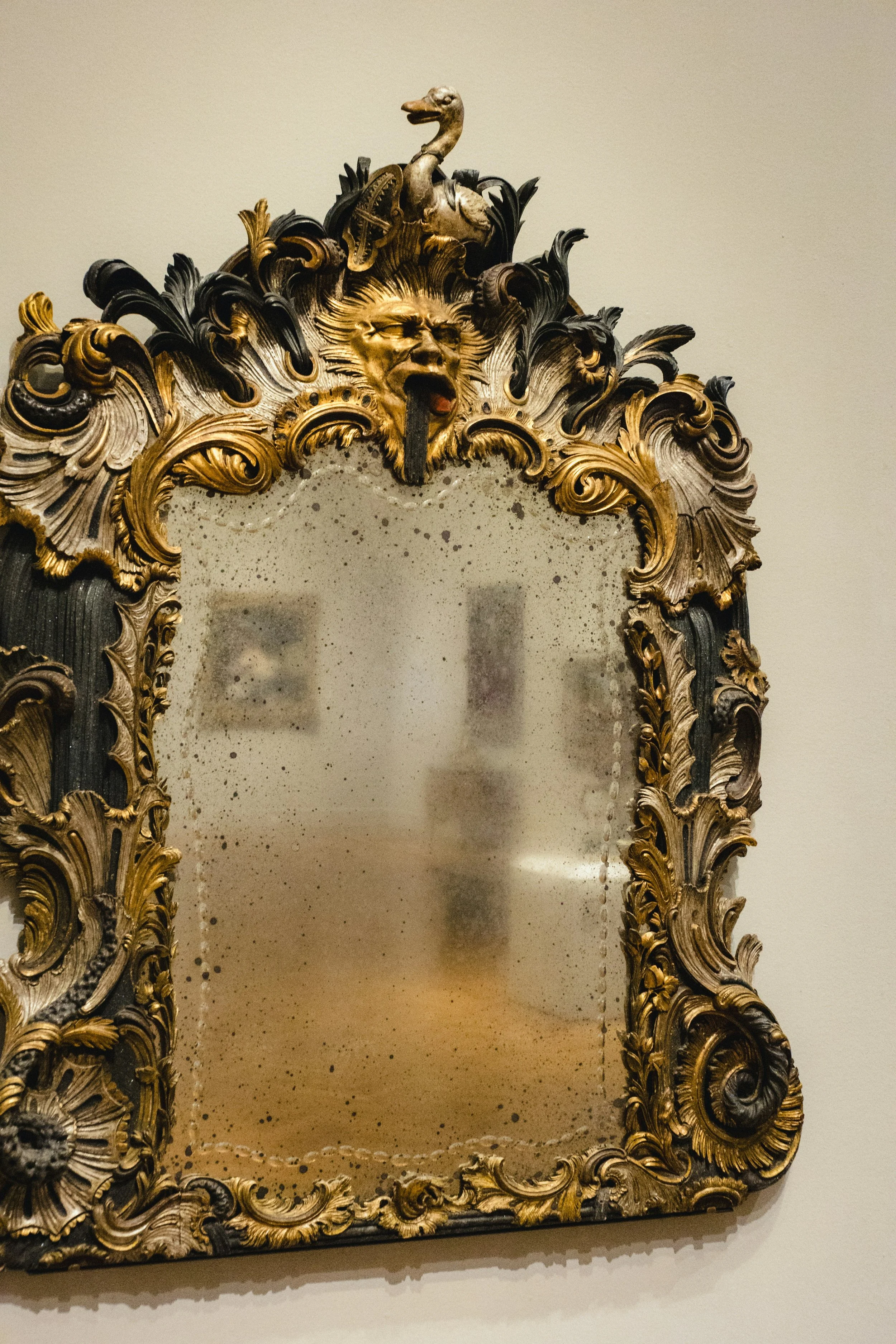 The Shining Mirror Of Consciousness