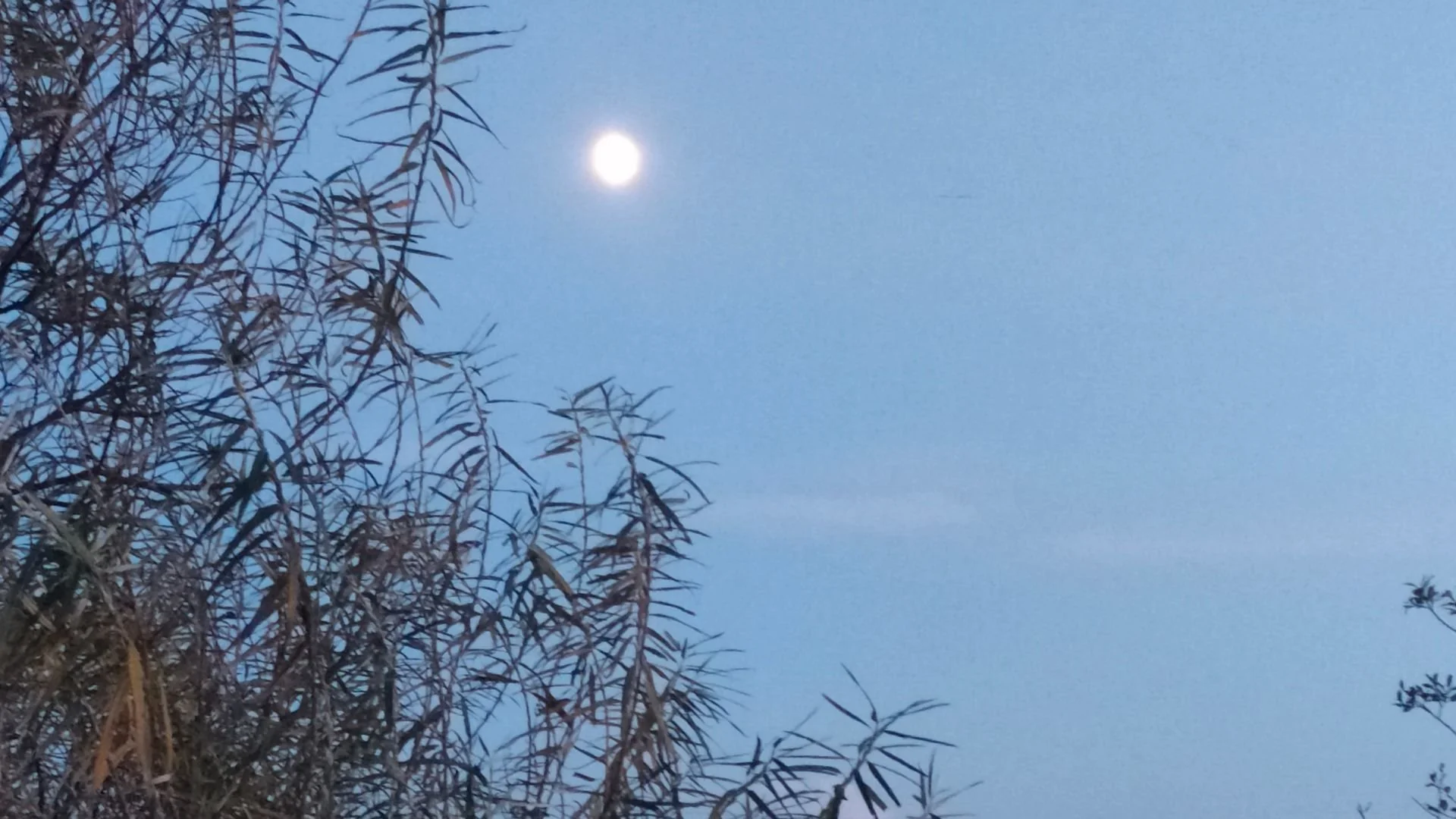 Cultivating Spaciousness