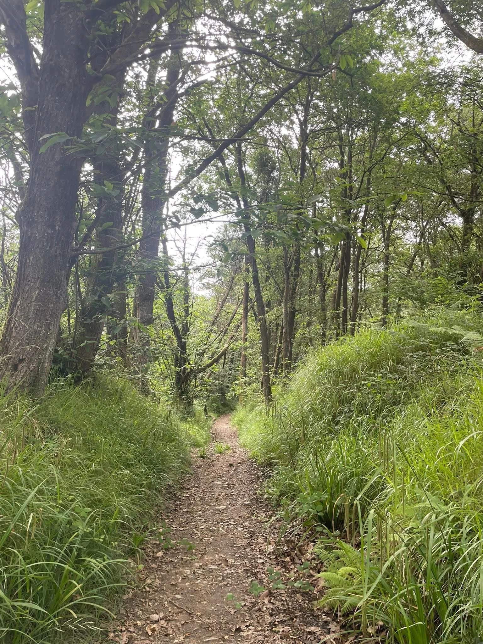 &nbsp;The Path of Karma Yoga