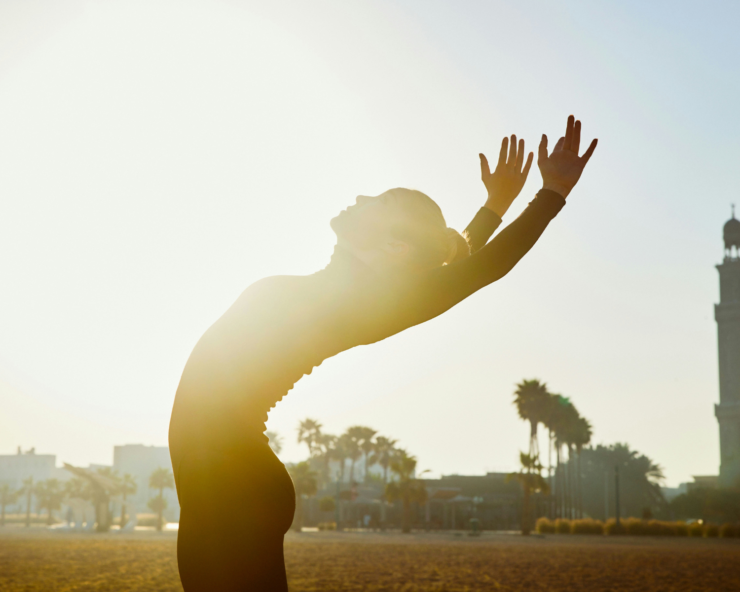 Awareness of Light is the Light of Awareness