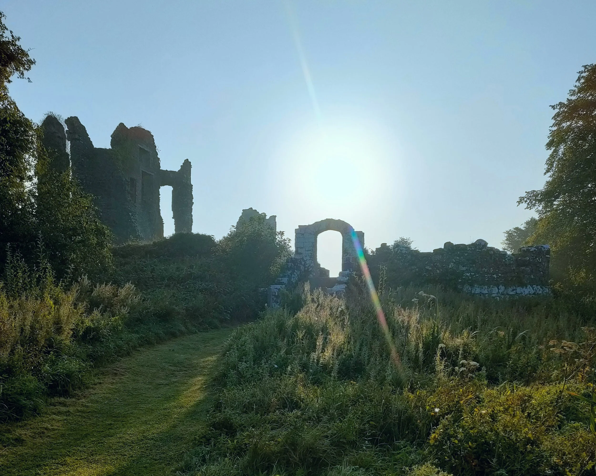World Environment Day 2026: A Yogic Call to Wonder
