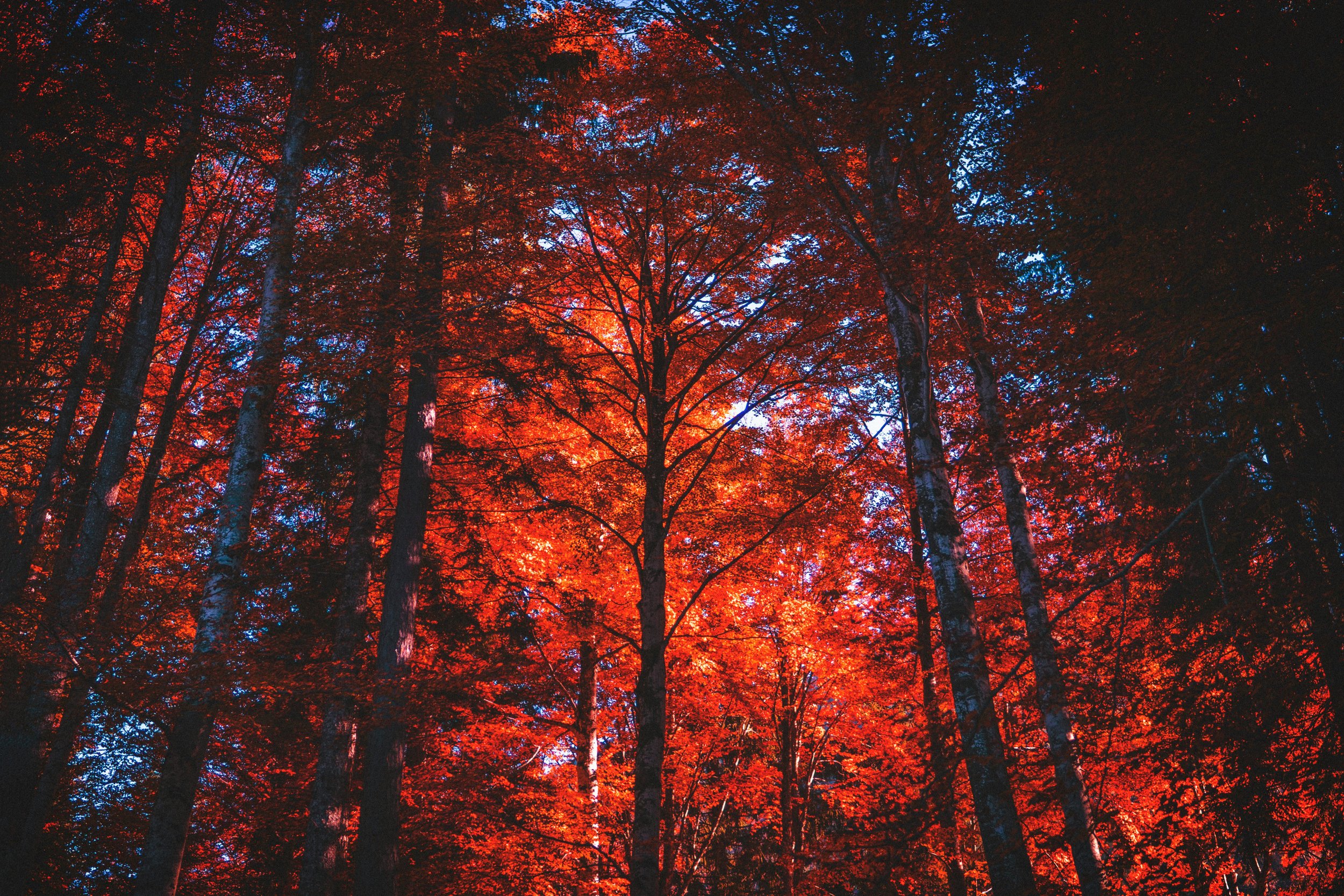 Muladhara - grounding in the power of four