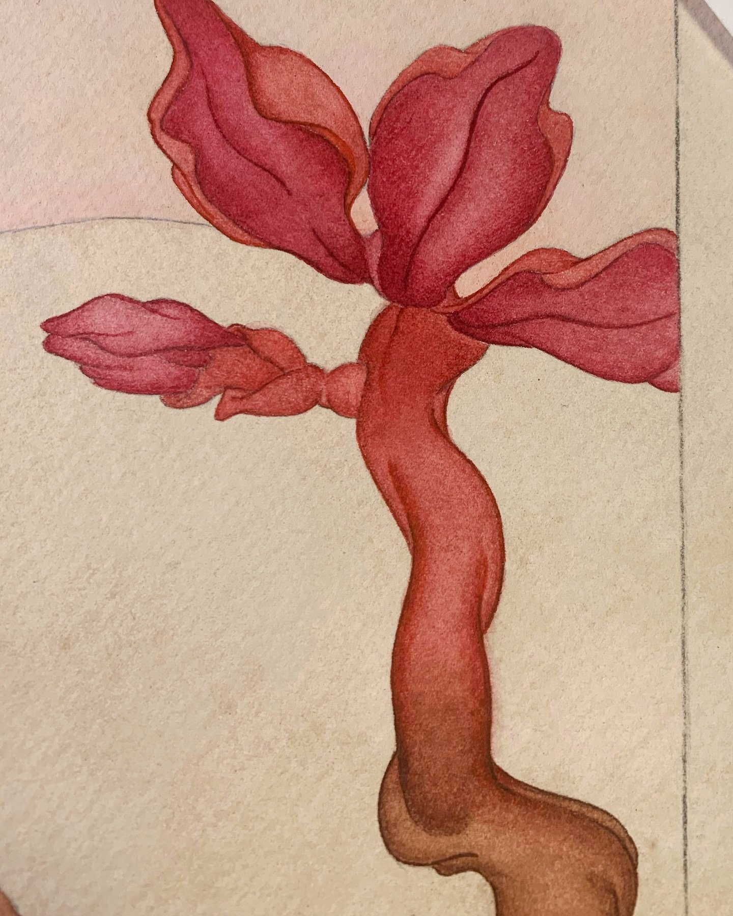 To blend color is to taste the same satisfaction as a love that burns bright and wild ~ ❤️&zwj;🔥
#DryBrushTechnique #PaintingProcess  #RedFlower #SereneVibes #DelicateTouch #WarmTones