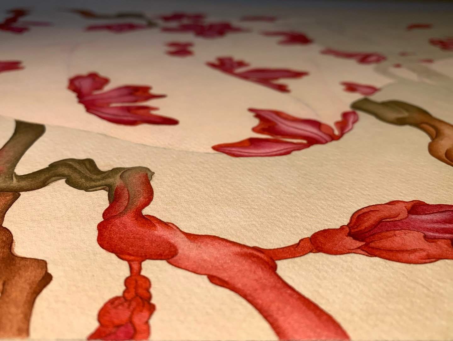 WIP ~ 🖌️ #Delicate #RedFlower #Branches #Watercolor