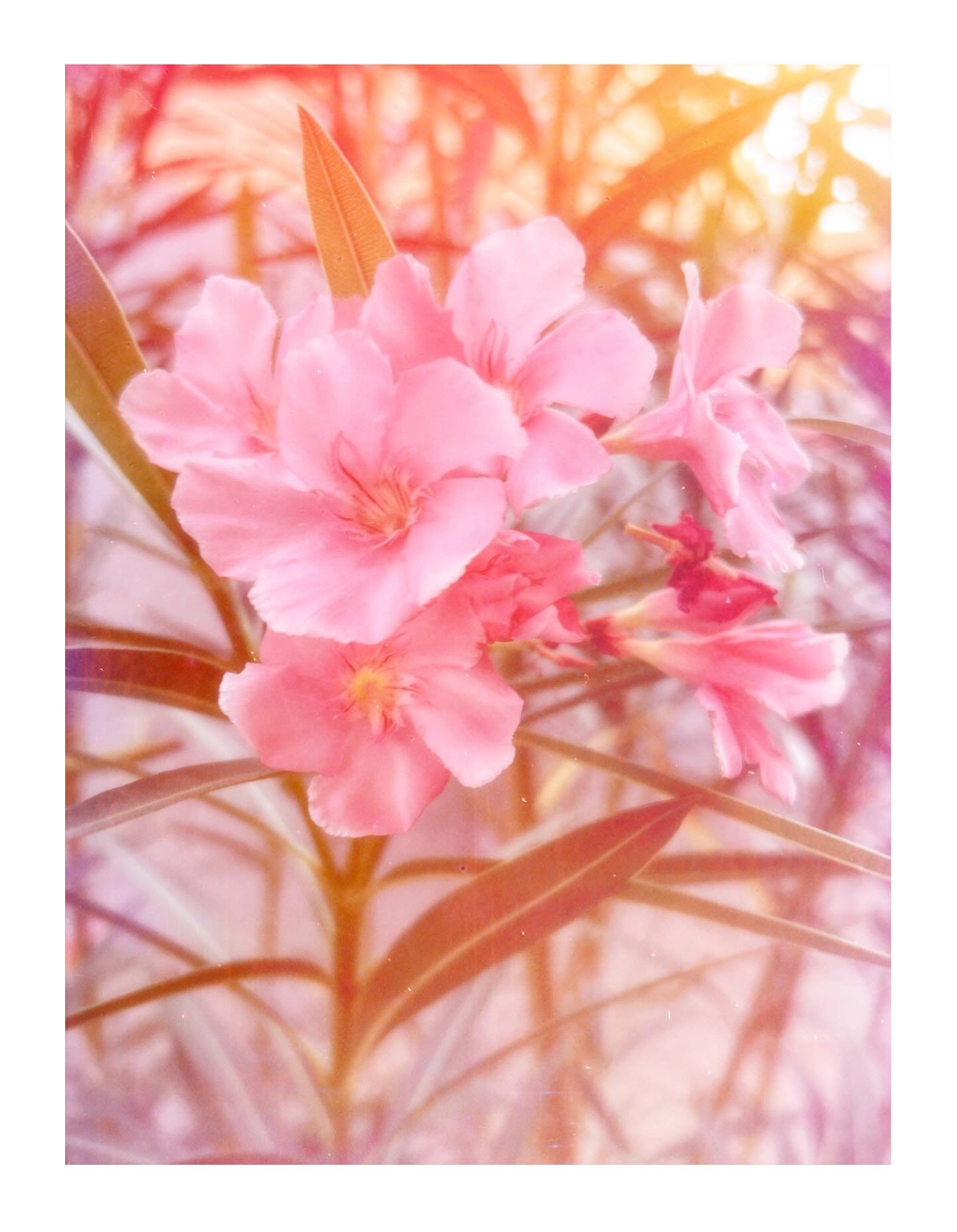 #36

Untitled 

&ldquo;The soul becomes dyed with the color of its thoughts.&rdquo;
&mdash; Marcus Aurelius

I.

Turn your gaze toward your own portion of the matter. Ask whether the discharge of frustrated violence&mdash;turned inward or loosed upon