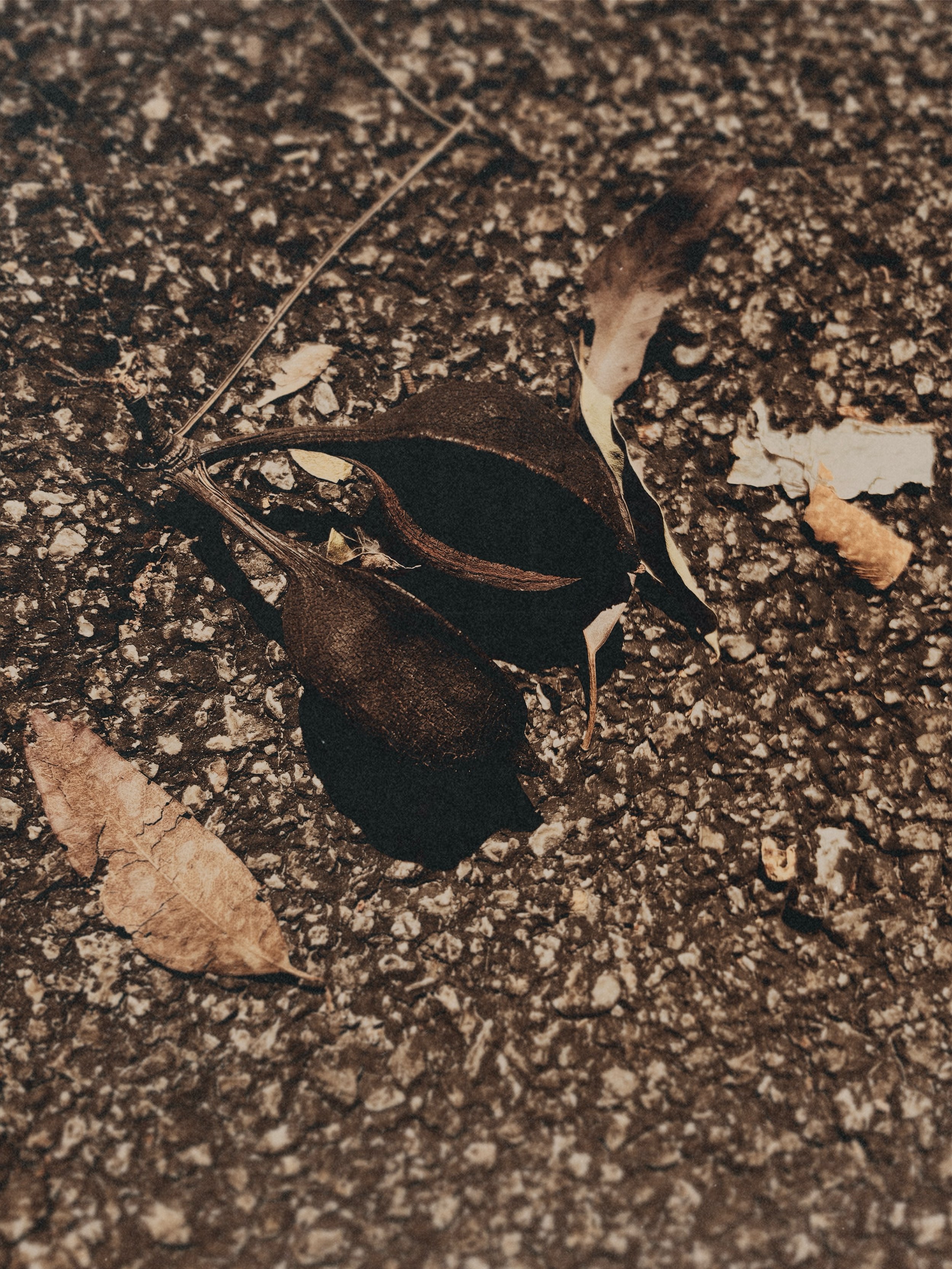 Excerpt from &ldquo;Dust&rdquo;.

The coffee pot bubbling against the wall, 
the blue static sadness on the news, 
a spoon beside an unwashed bowl&mdash; 
all of them carried your exhausted voice, 
that careful voice that always sounded bruised, 
as 