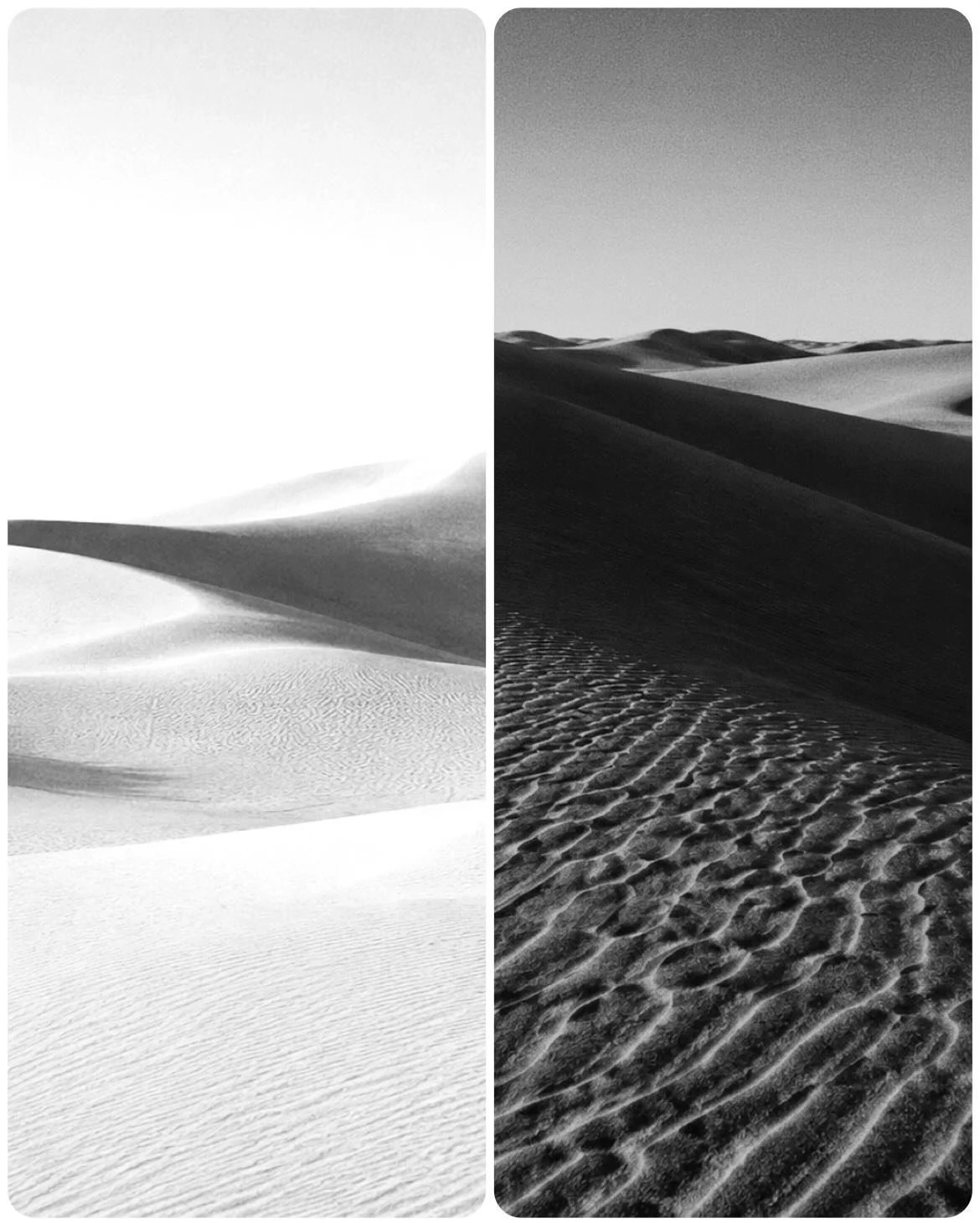 (Excerpt)

&ldquo;The earth dances.
I know this.
I watch it from the edge
where I keep going back
to see if this time
the thing in the wind
is something other than
the thing in the wind.&rdquo;

Marni Fraser

&bull;Desert Vigil Series 2026
&bull; [9 