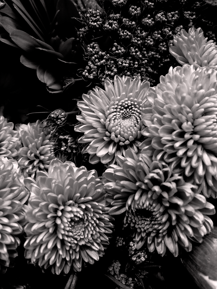 MarniDeAmbershay-Flowers.png
