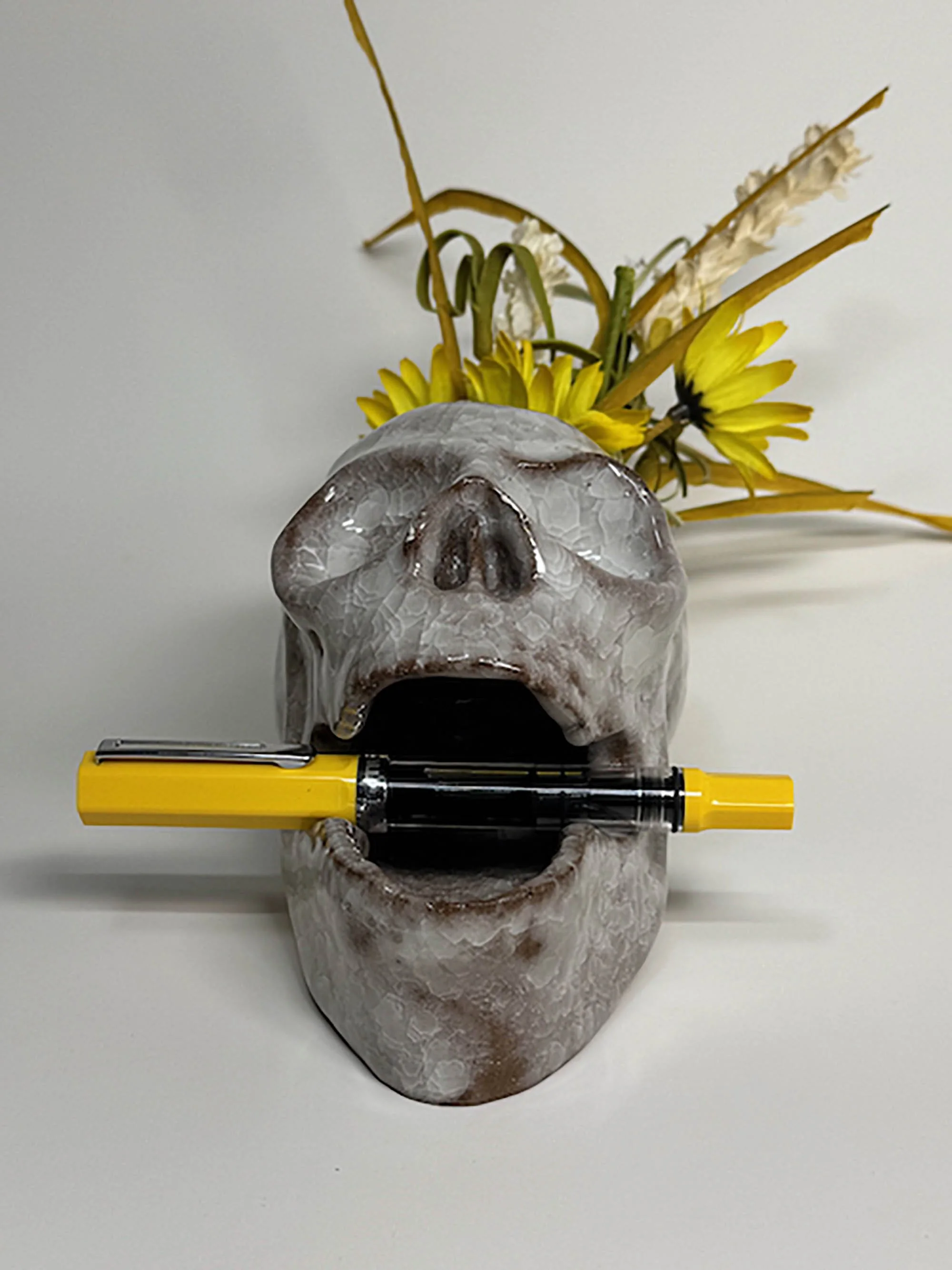 Crystalline Skull Desk Mate and planter