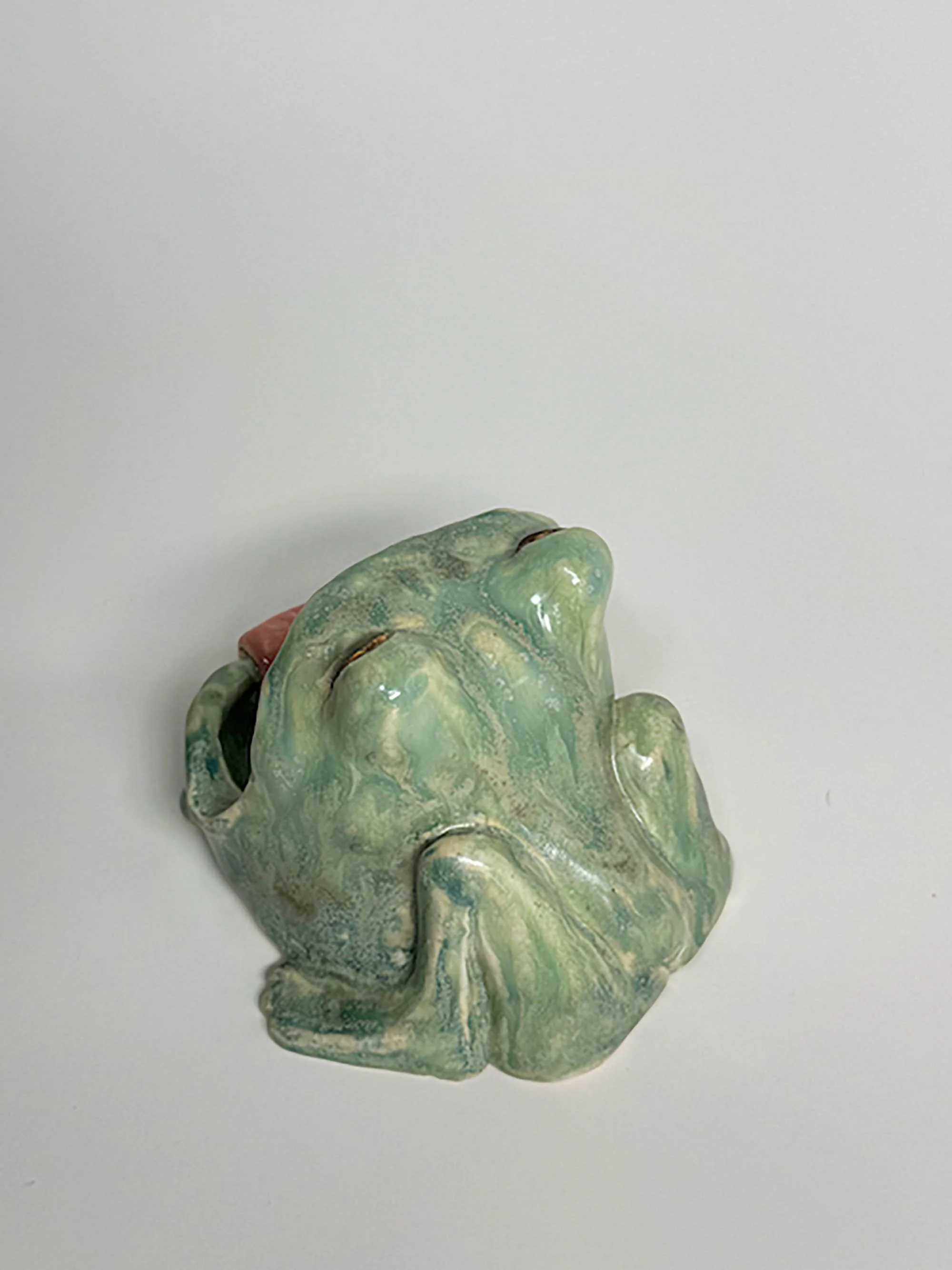 IMG_7911.jpg