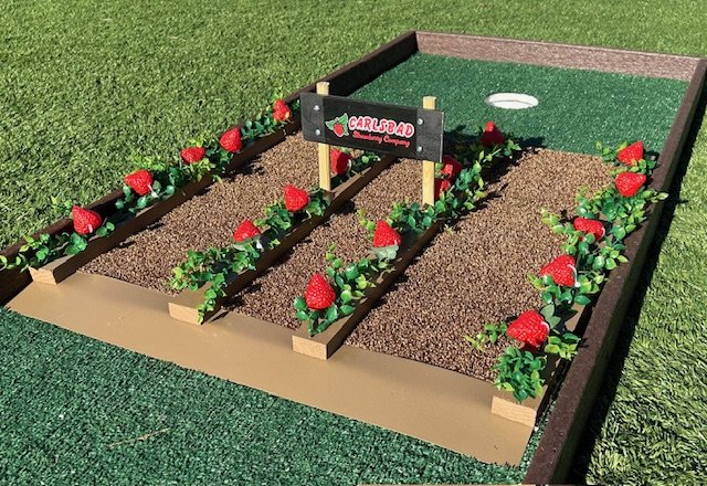 Strawberry Fields