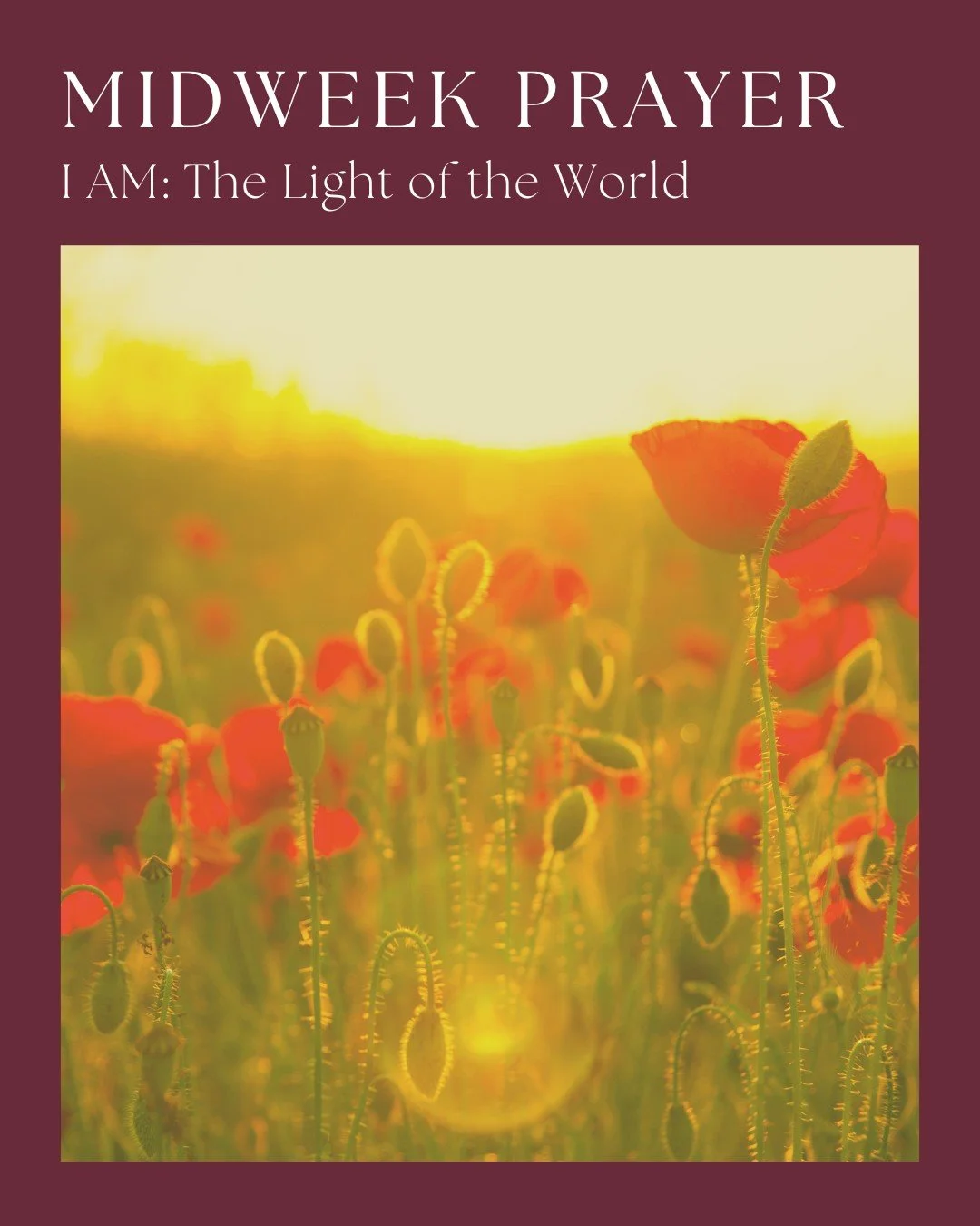 The world feels dark right now. 

And sometimes it&rsquo;s easy to get swept into false thinking that darkness is winning.
But Jesus says: &ldquo;I am the light of the world.&rdquo;

This short prayer will invite you to breathe, lift up the places th