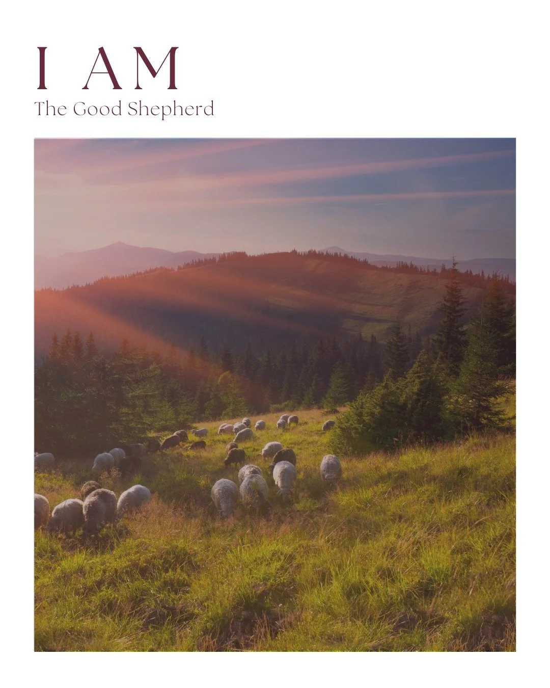 Jesus knows us, protects us, and deeply cares for us.

He is the good shepherd. And He will never leave us.

This is what Jesus reminds us of in John 10:11-15.

This week&rsquo;s meditation is a quiet place to pause, remember, and rest in these truth