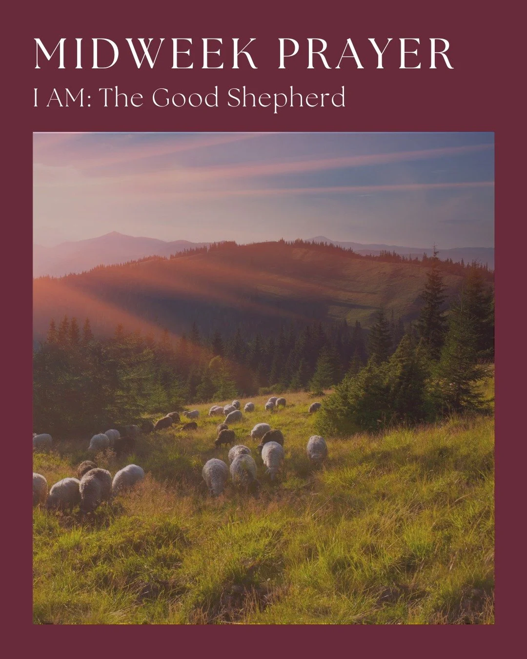 There are moments when it helps to remember who is leading us.

In John 10, Jesus says,
&ldquo;I am the good shepherd.&rdquo;

This short prayer is a pause to remember that Jesus knows us, stays with us, and has laid down His life for us. He does not