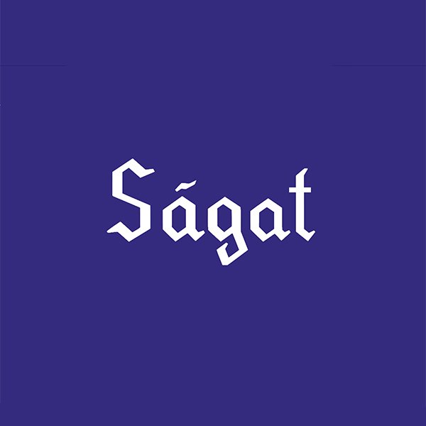 Fallback Image Sagat 600x600.jpg