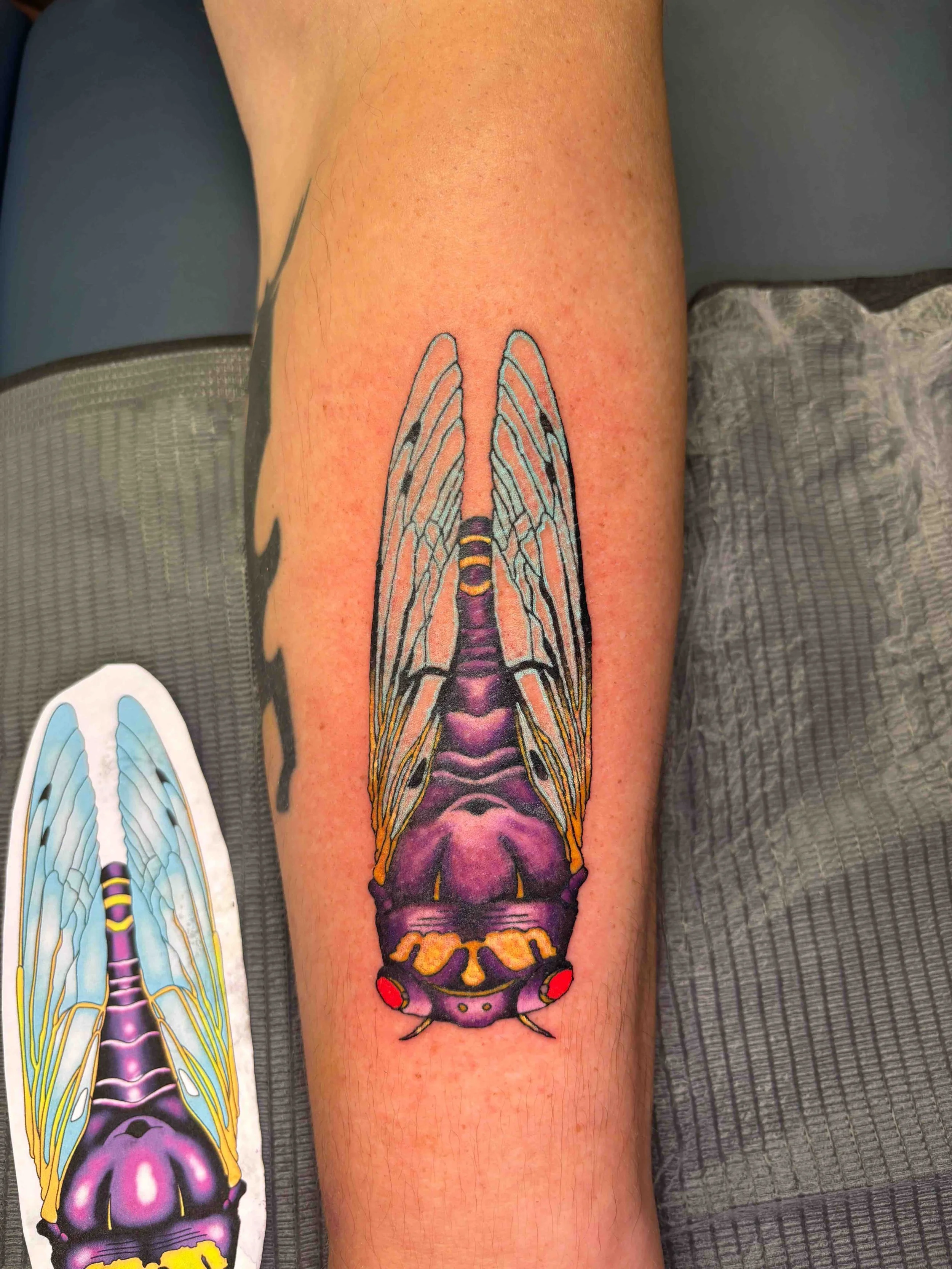 Neo traditional cicada in color on forearm by AK Zaionz at Sink or Swim in Niagara Falls NY